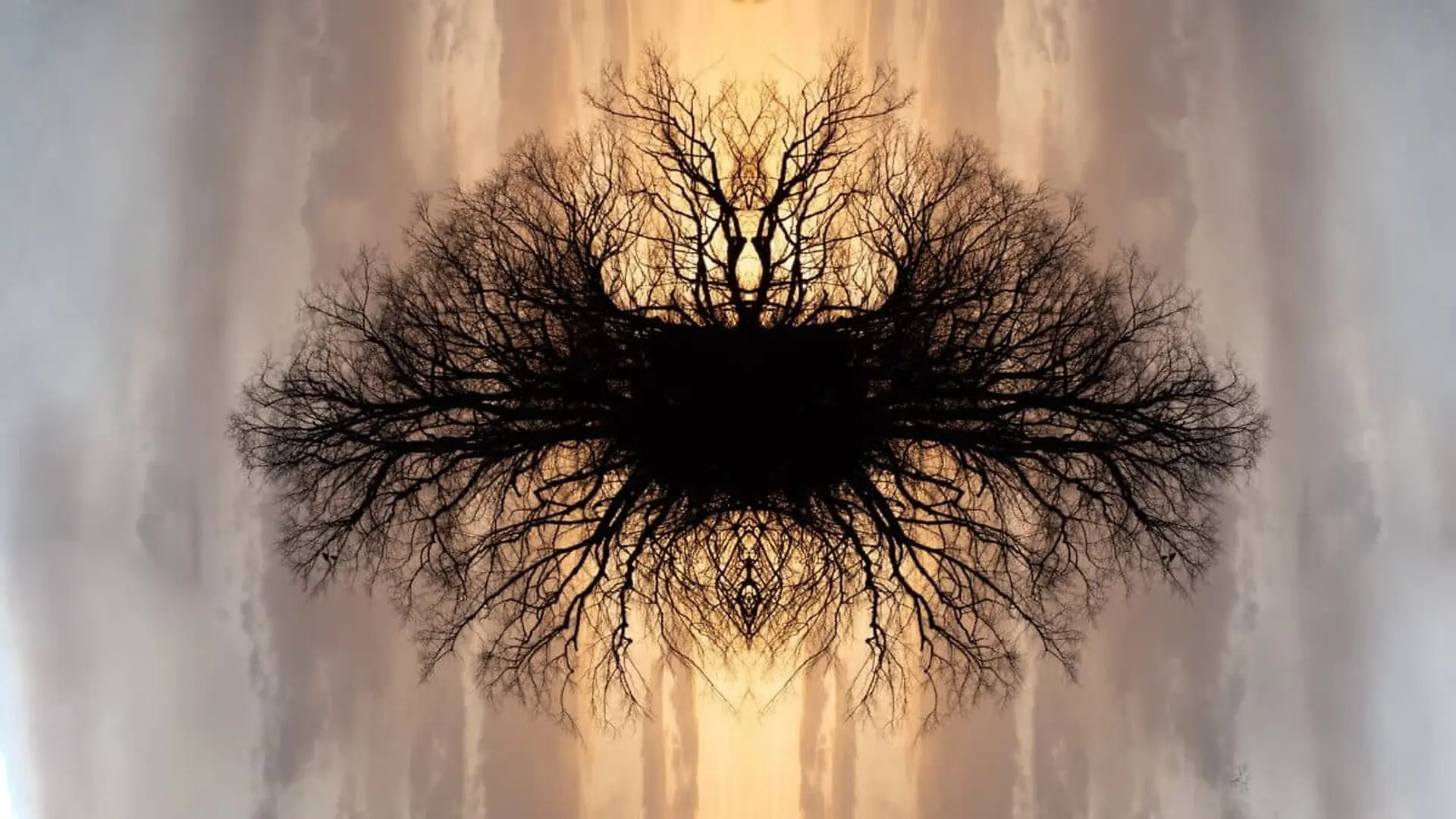 A Solitary Tree Floating In The Sky Scaled