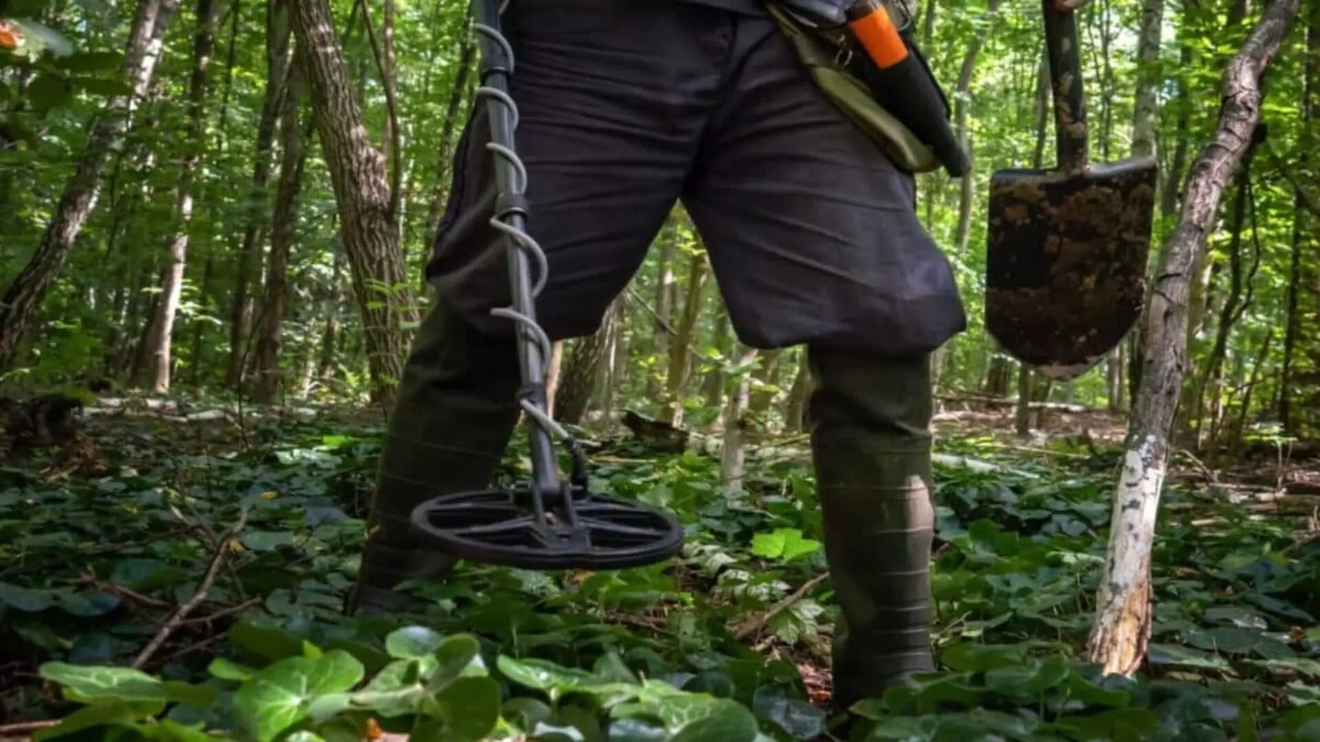 A Man Exploring The Countryside With His Metal Detector Finds Over 4 Kg Of Silver Coins Buried For More Than Years Scaled