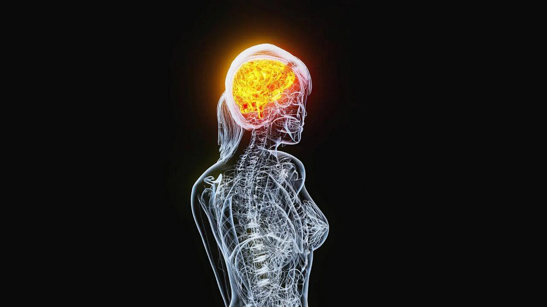 Hormonal activity in the brain across the menstrual cycle affecting white and gray matter shown in a female figure with an illuminated brain.