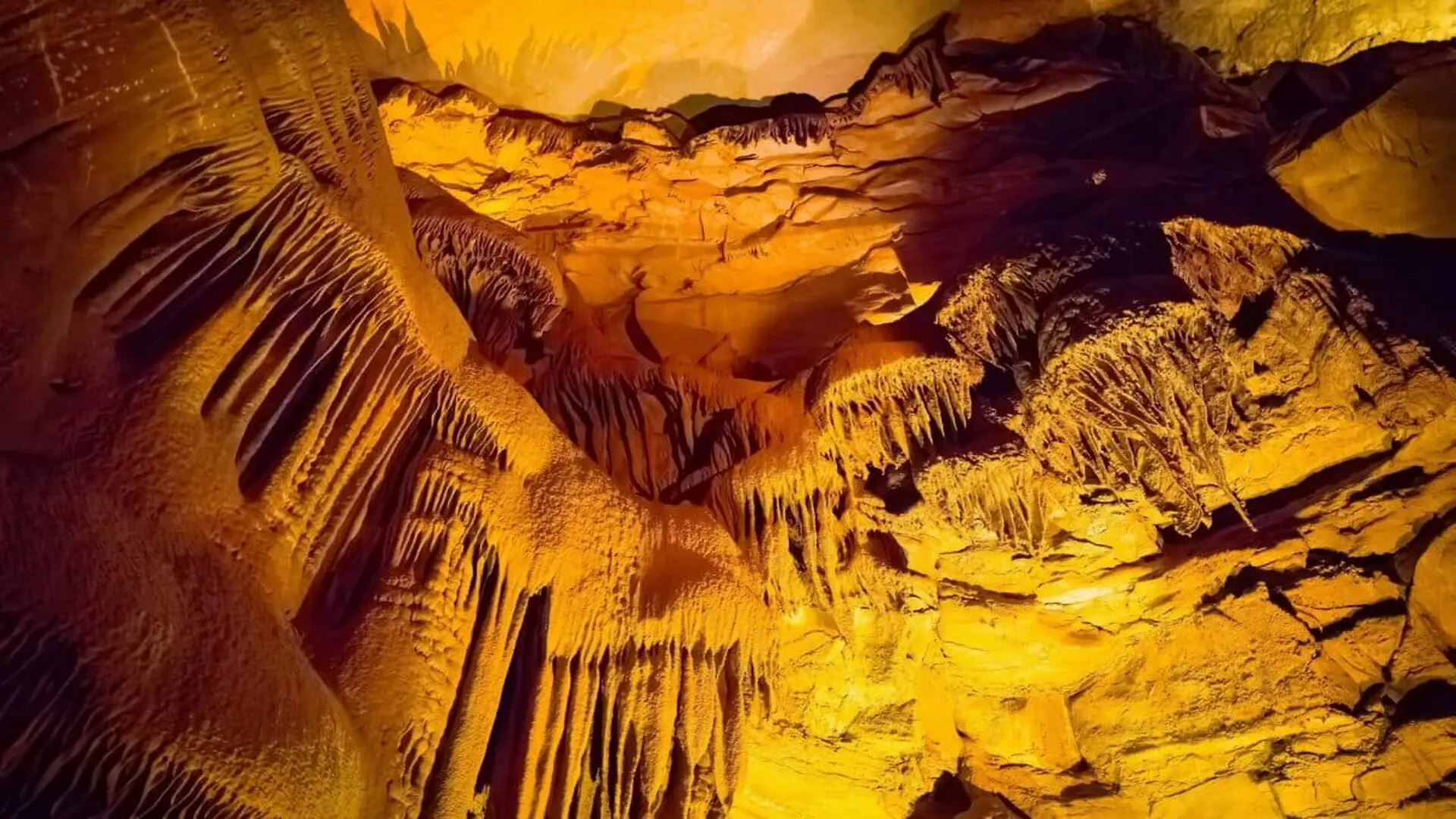 While Exploring This 426 Mile Cave Beneath Kentucky Researchers Came Across Unusual Creatures Scaled