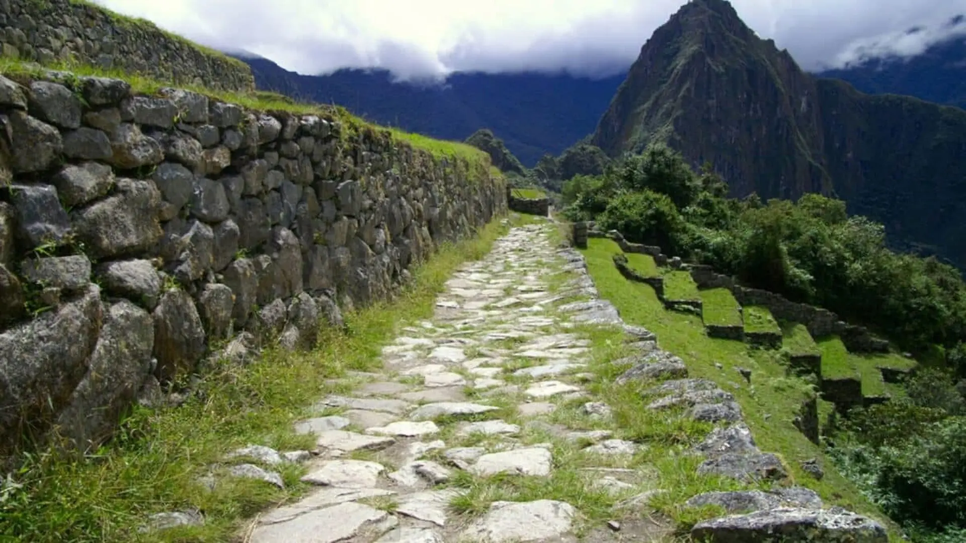 Hidden Under Dense Jungle For Centuries These 1.5 Miles Of Inca Roads Near Machu Picchu No One Knew Existed Just Appeared Scaled