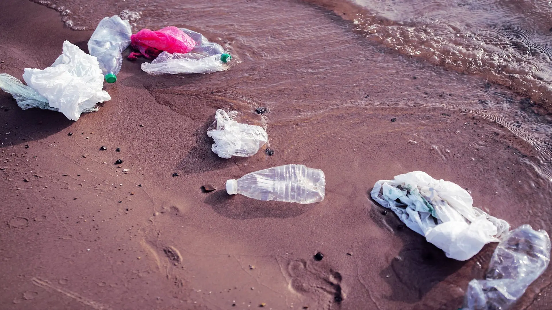 Volunteer Investigation Cleaning Polluted River Prison