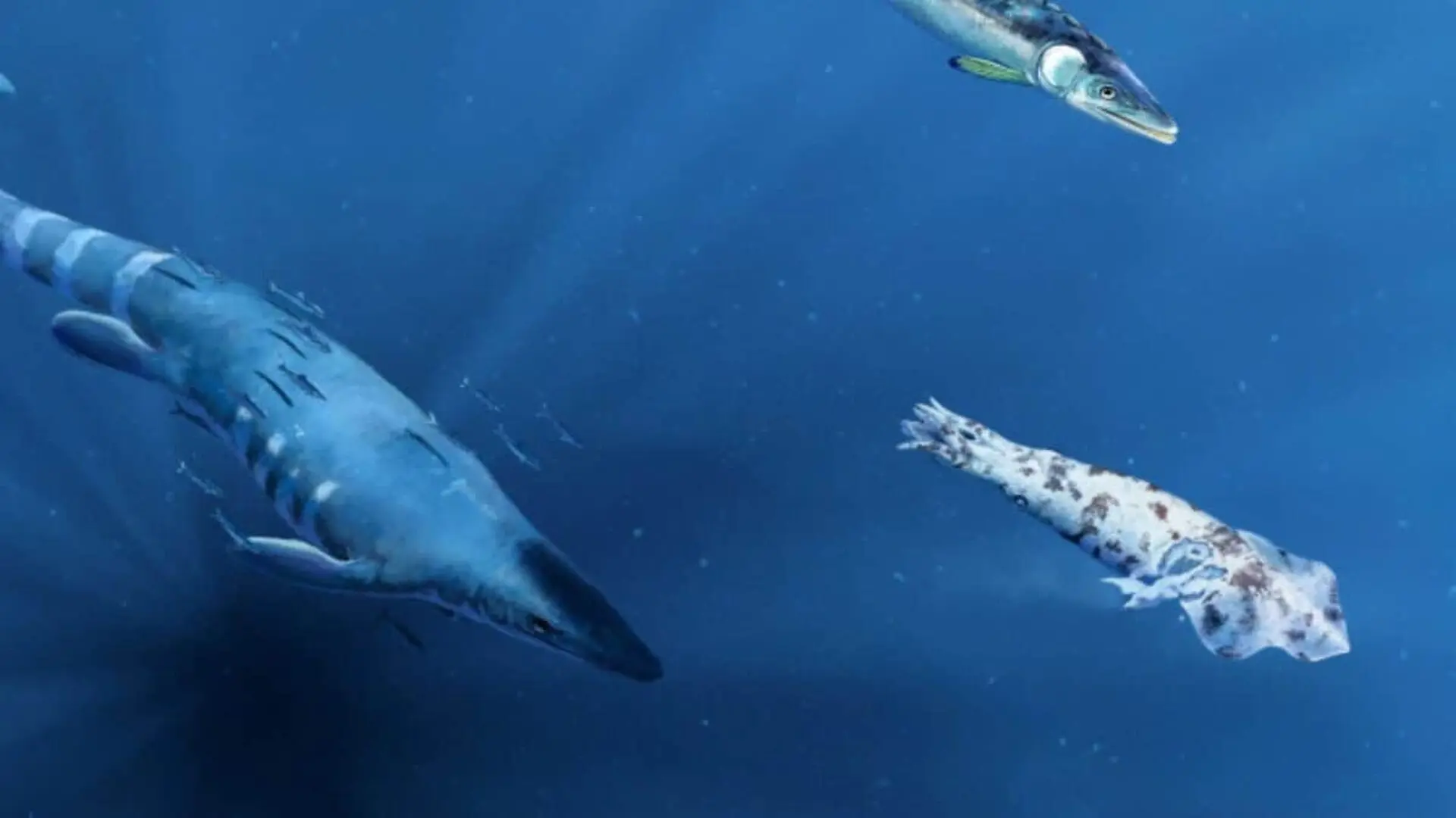 This Ancient Squid Like Creature Was Attacked Millions Of Years Ago Its Fossil Still Shows The Evidence Scaled