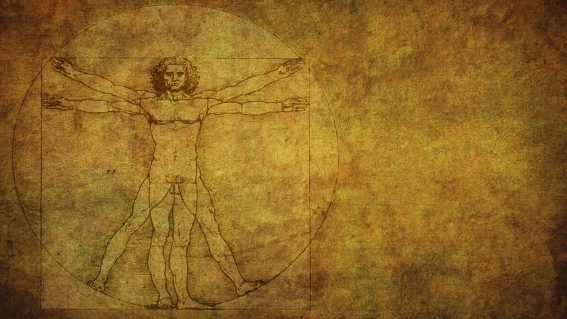 A London Dentist Found The 500 Year Old Geometric Secret Hidden Inside Leonardos Vitruvian Man Scaled