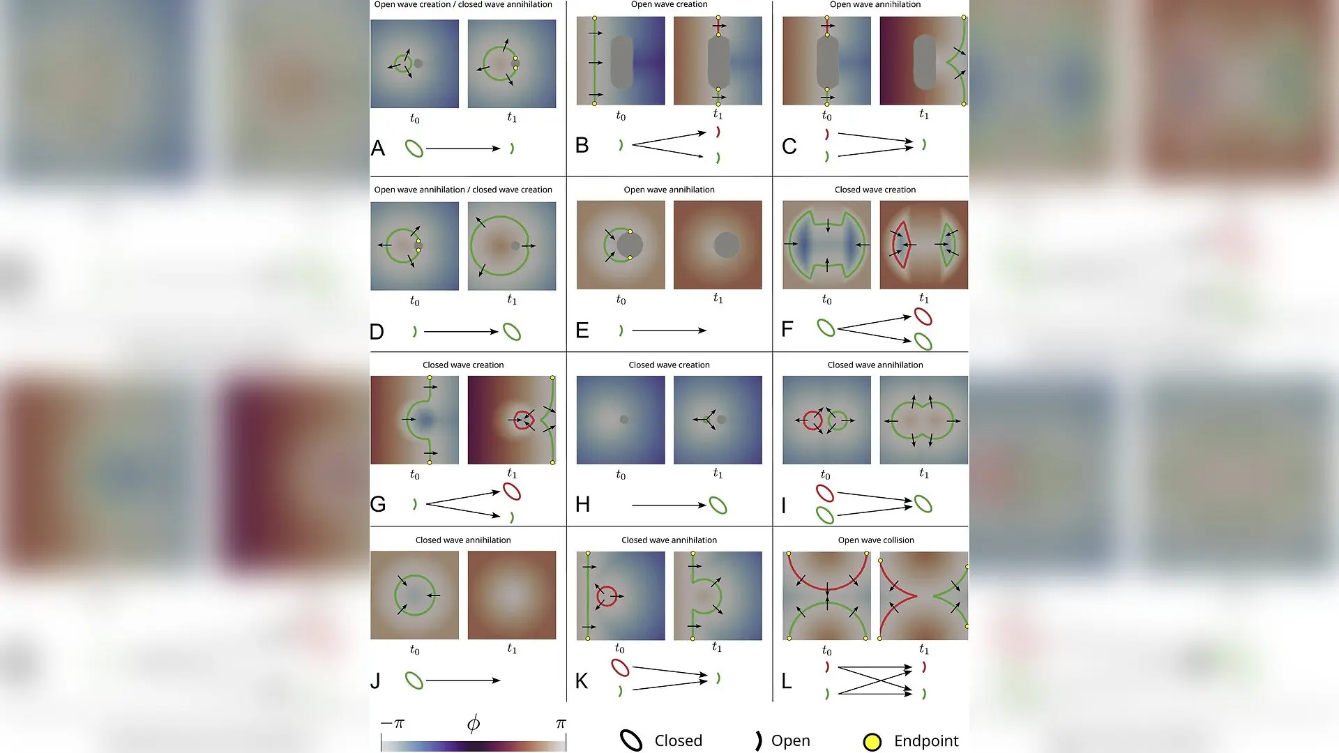 New Topological Framework Reveals How Atrial Fibrillation Waves Form and Terminate