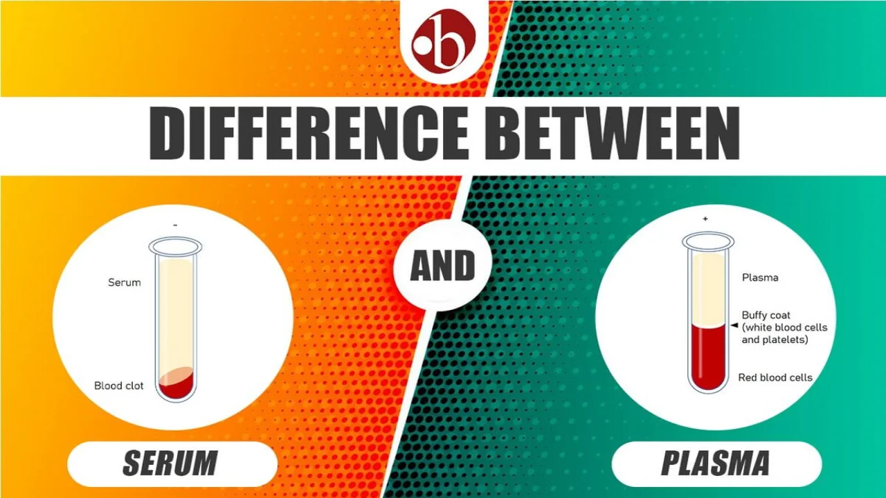 Serum vs plasma