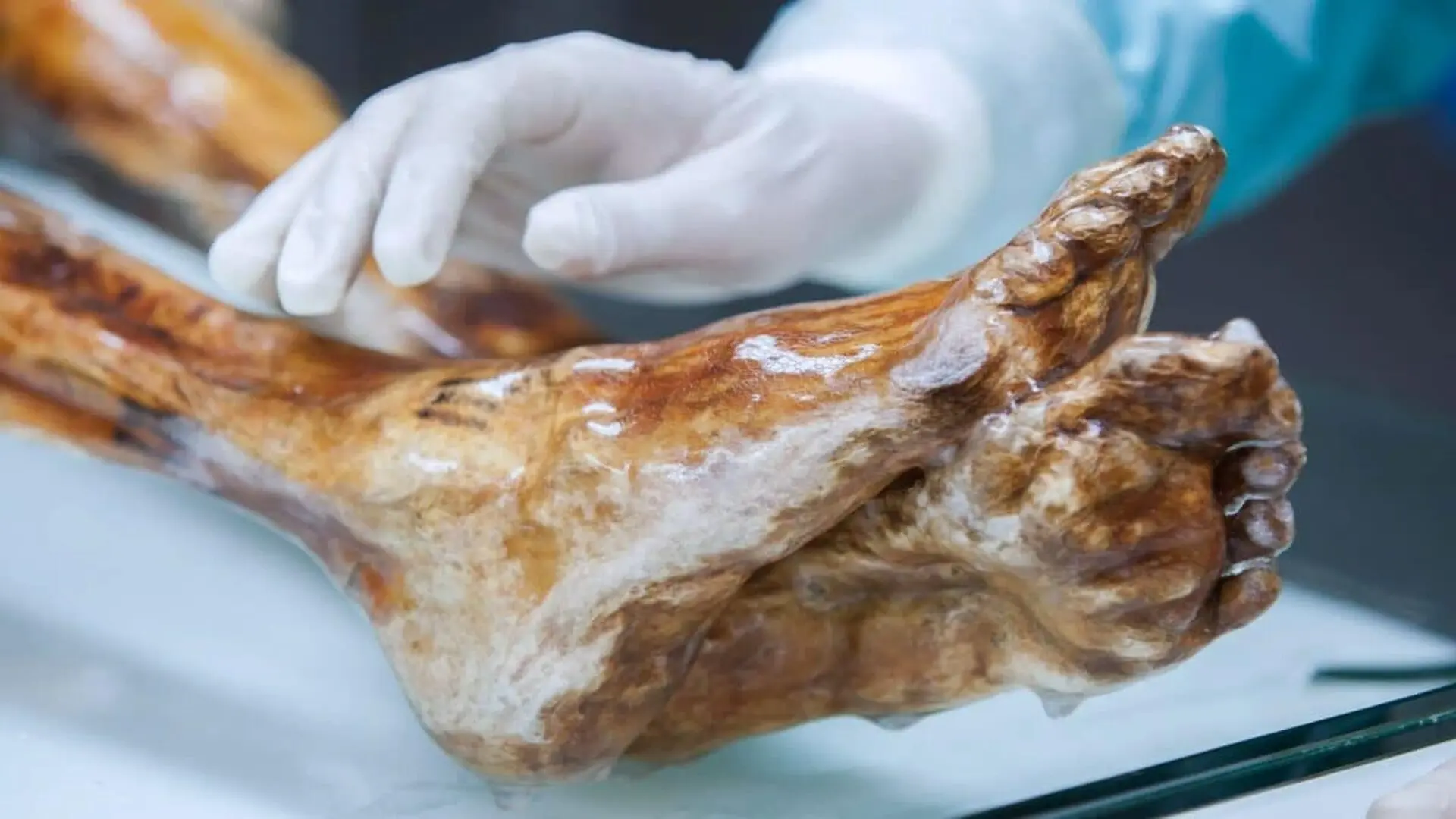 Scientists Found Something Still Living On Otzis Body After Years Trapped In The Ice Scaled