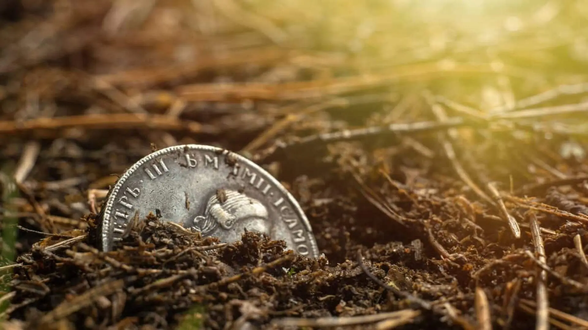Everyone Thought This Doomed Spanish Colony Was Lost Until A Tiny Silver Coin Revealed Exactly Where It Stood Scaled