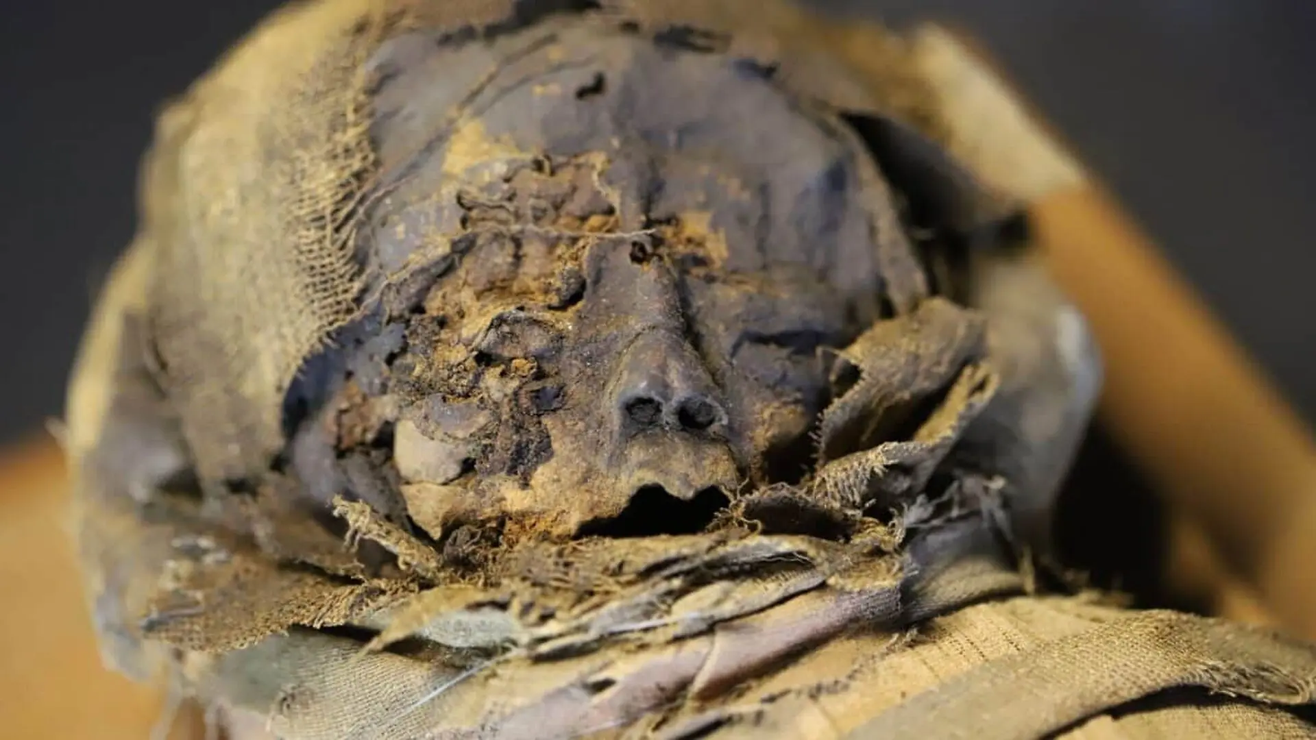 Scientists Opened A 280 Year Old Austrian Mummy And Found An Embalming Method No One Had Ever Recorded Scaled