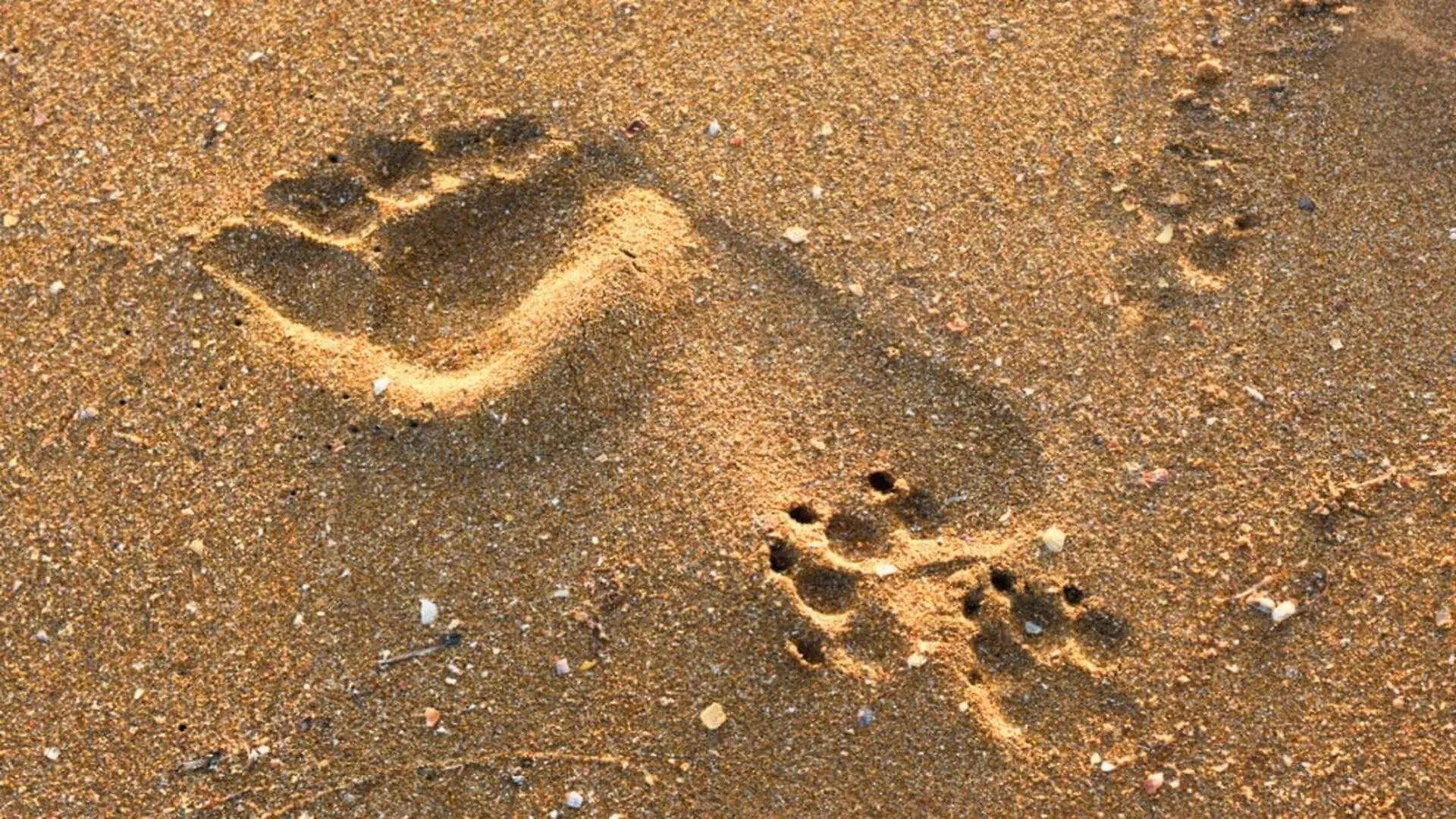 A Year Old Discovery Rewrites What We Know About Early Mediterranean Seafaring Scaled