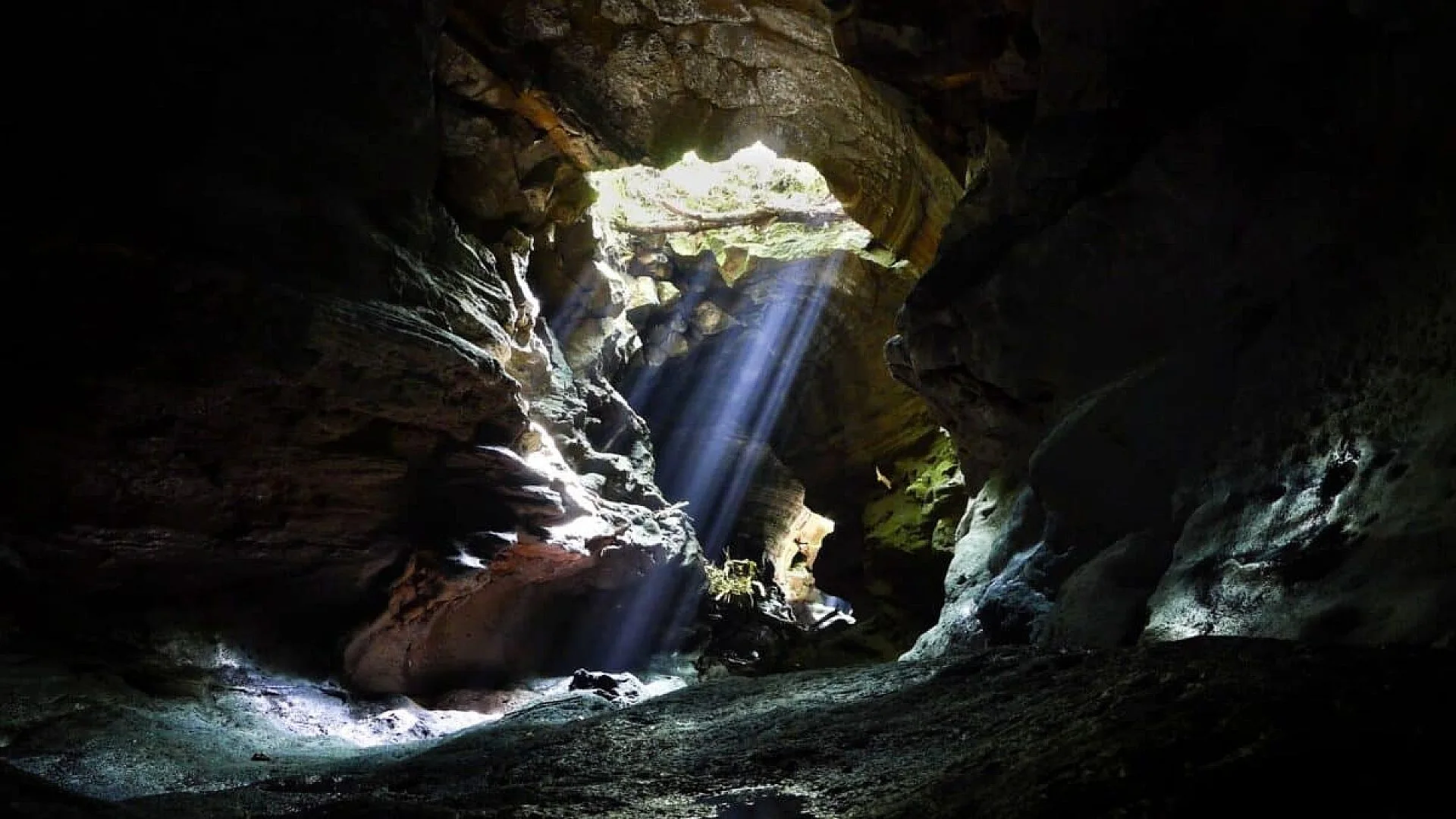 Scientists Discovered A Bizarre Insect Deep Inside A Greek Cave And It Was Unlike Anything They Expected Scaled