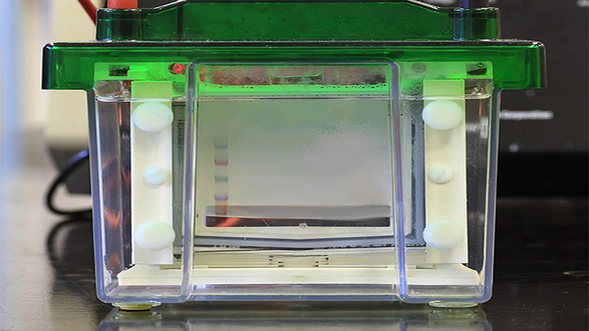 Blotting Tank