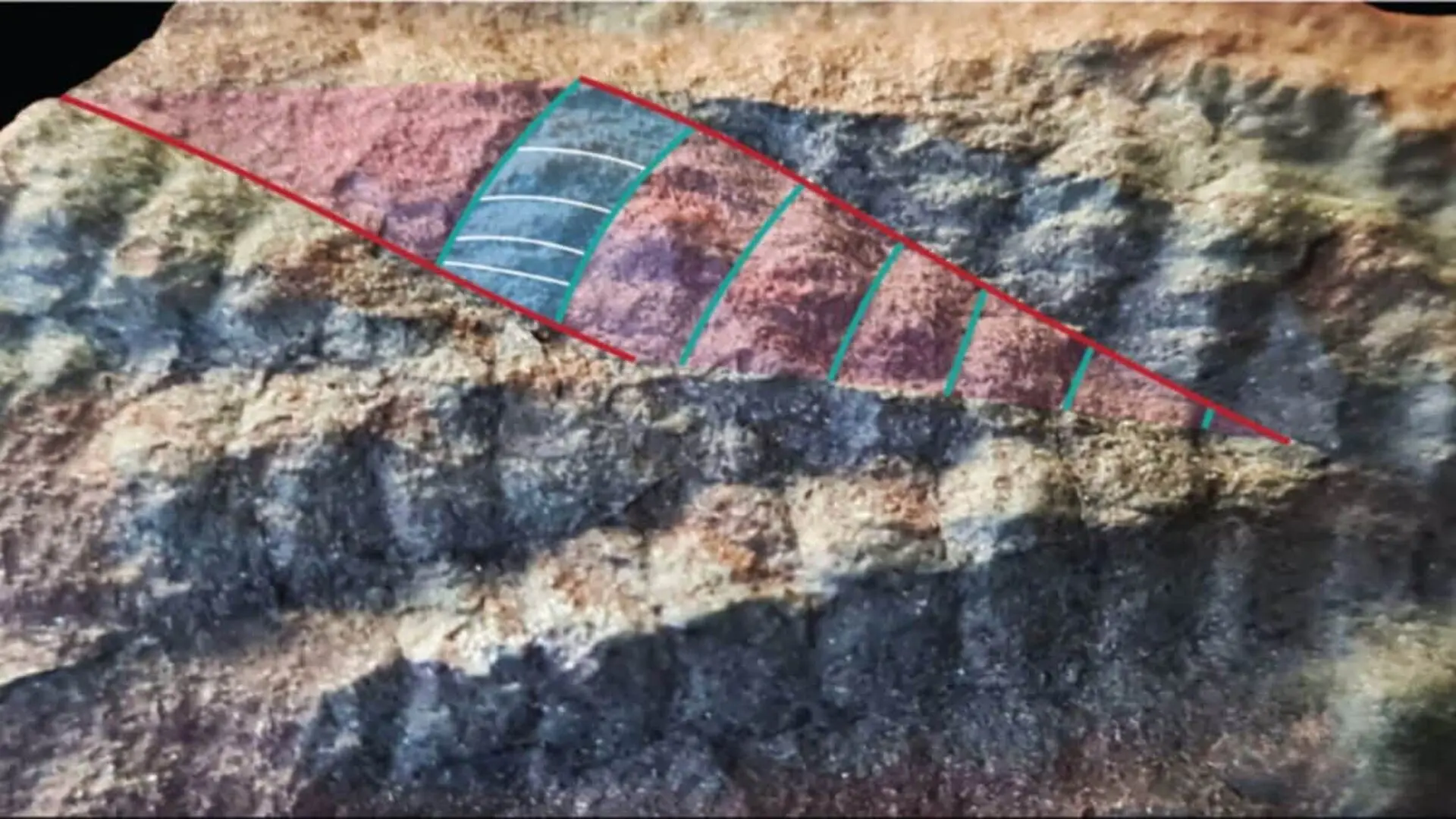 This Fossil Lay Hidden In Arctic Norway For Hundreds Of Millions Of Years Scaled