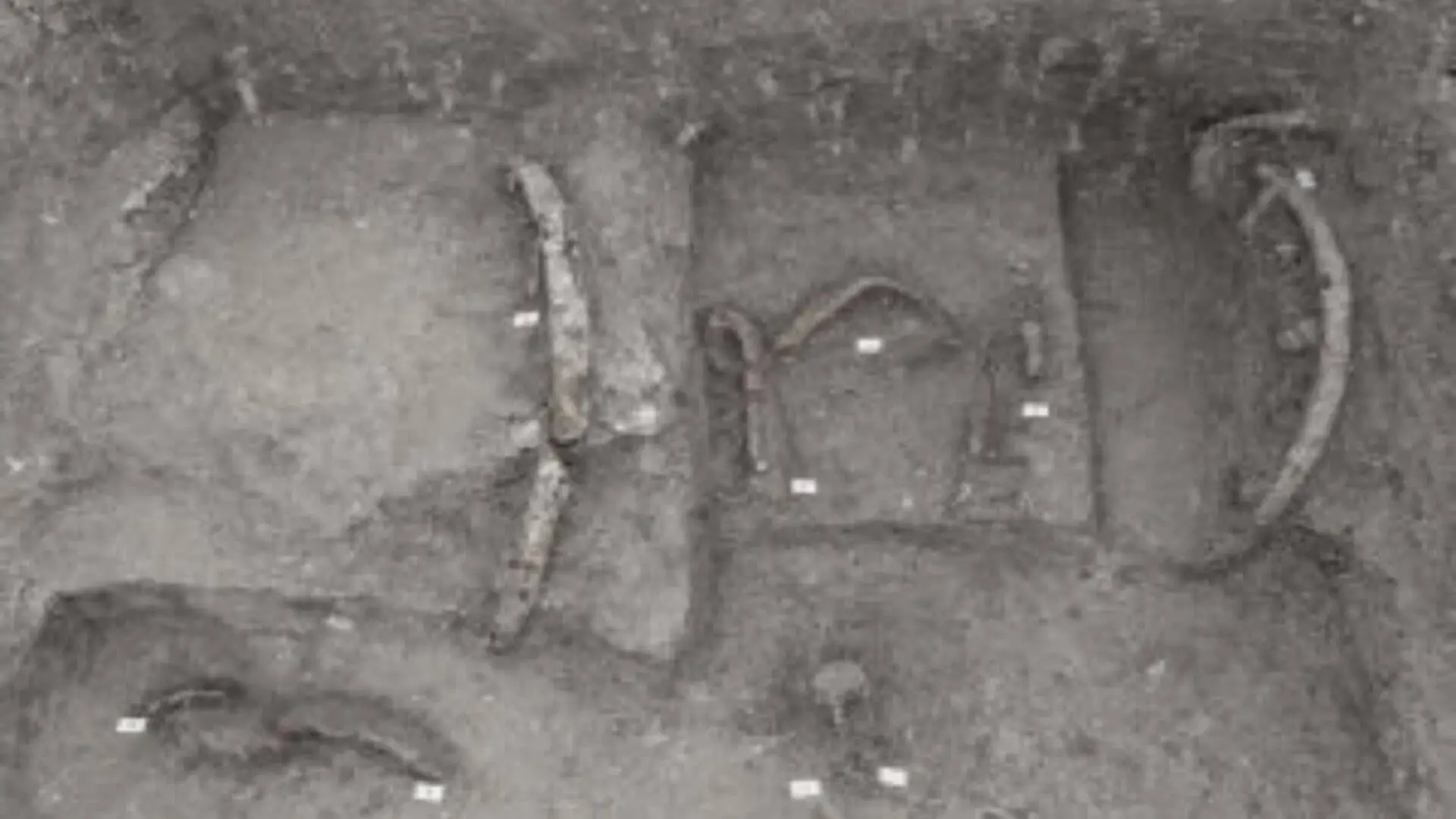 This Ancient Tomb Hid A Warrior Prince His Chariot And Clues To A Forgotten Italian Civilization Scaled