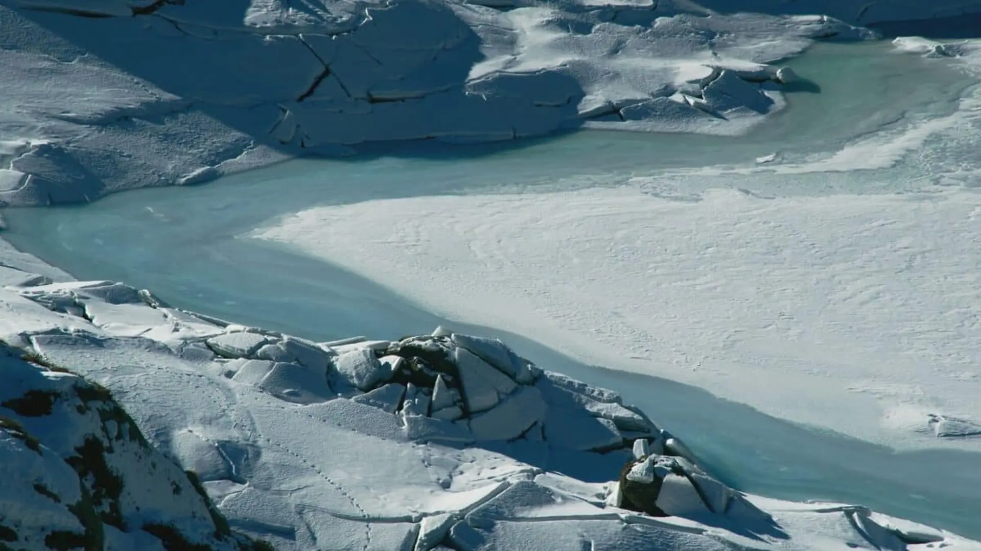 A 40 Year Old Fossil In Antarctica Just Turned Out To Be The First Dinosaur Bone Ever Found On The Continent Scaled
