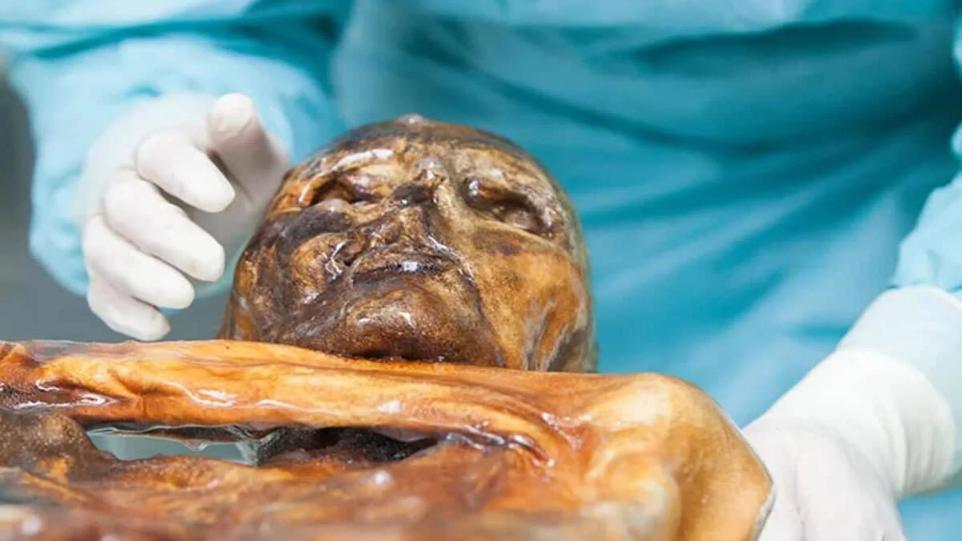 Scientists Found Living Yeast On A Year Old Mummy And Used It To Bake Bread Thousands Of Years Later Scaled