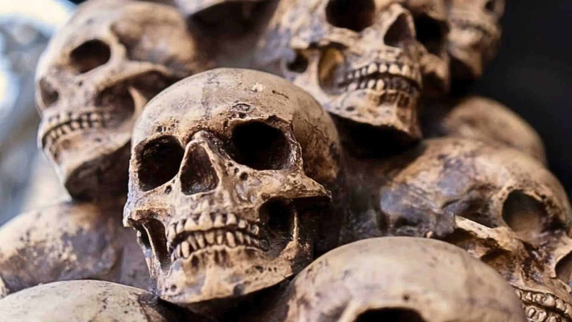 Archaeologists Have Counted 165 Skulls And Uncovered An Unusual Pattern Scaled