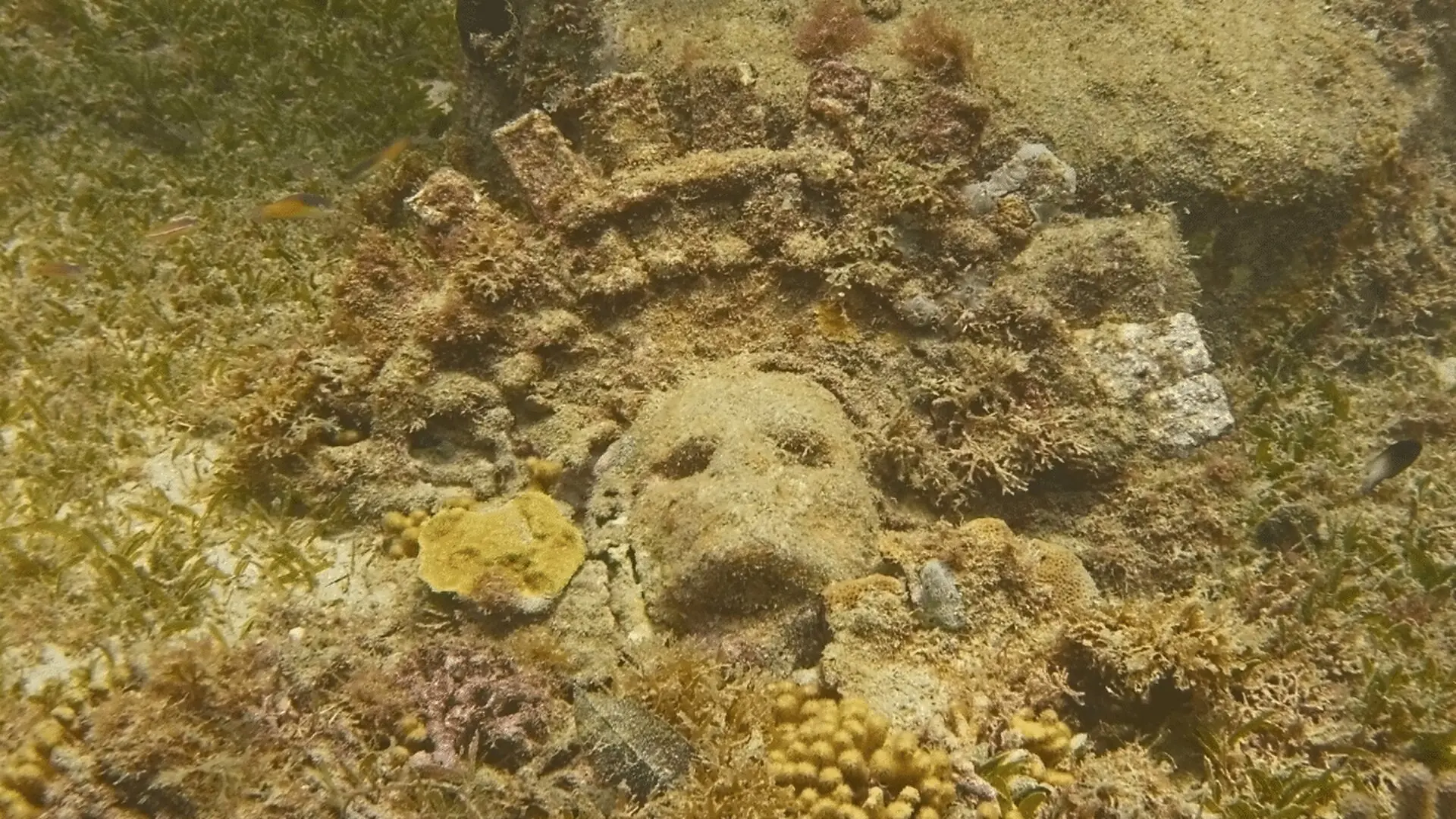 Underwater Archaeologists Stumble Upon A Haunting Carved Face Preserved For Over A Millennium In Poland Scaled