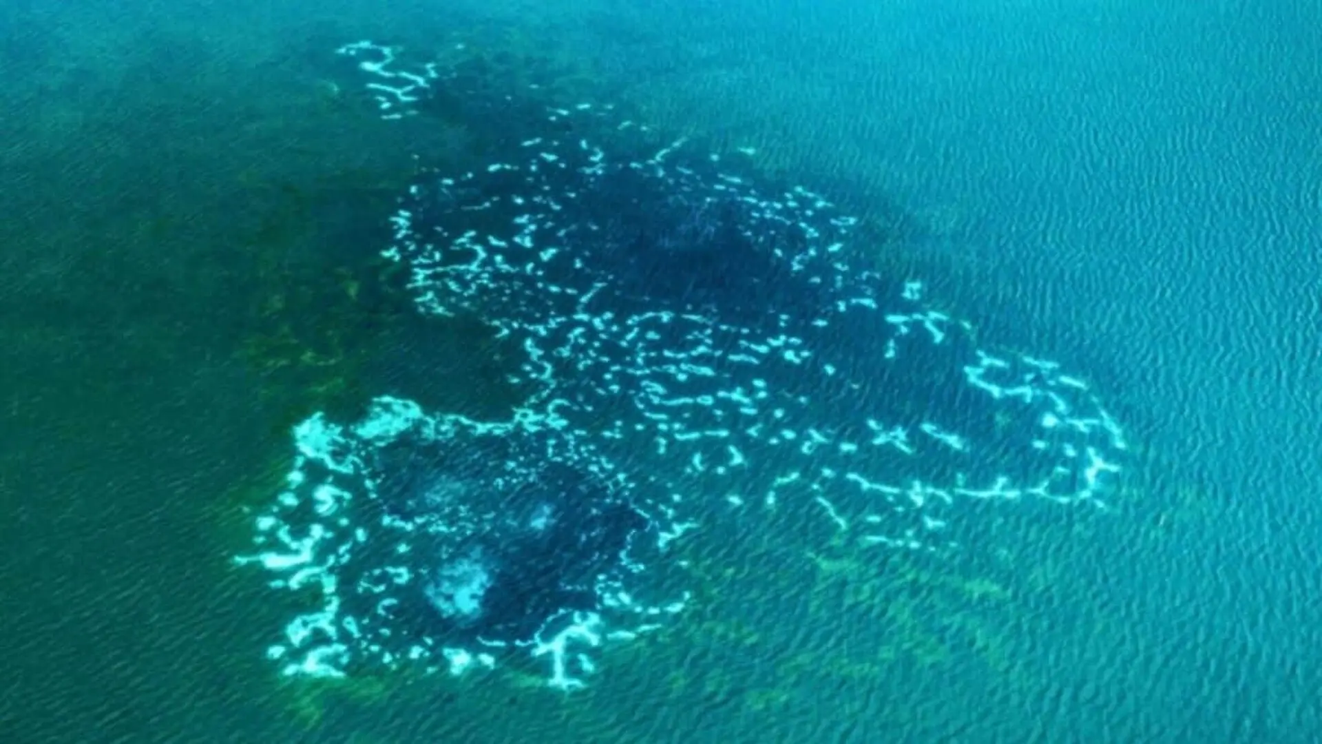 The Oceans Methane Mystery Has A New Answer Scaled