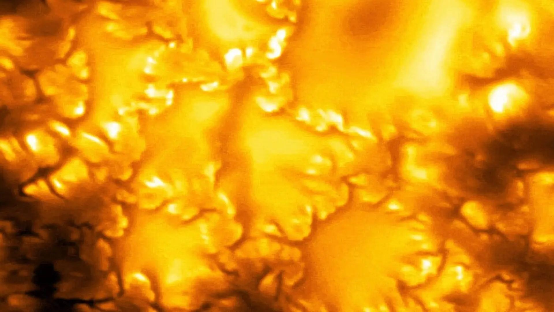The Suns Hidden Storms Revealed As Scientists Capture Unprecedented Magnetic Vortices Scaled