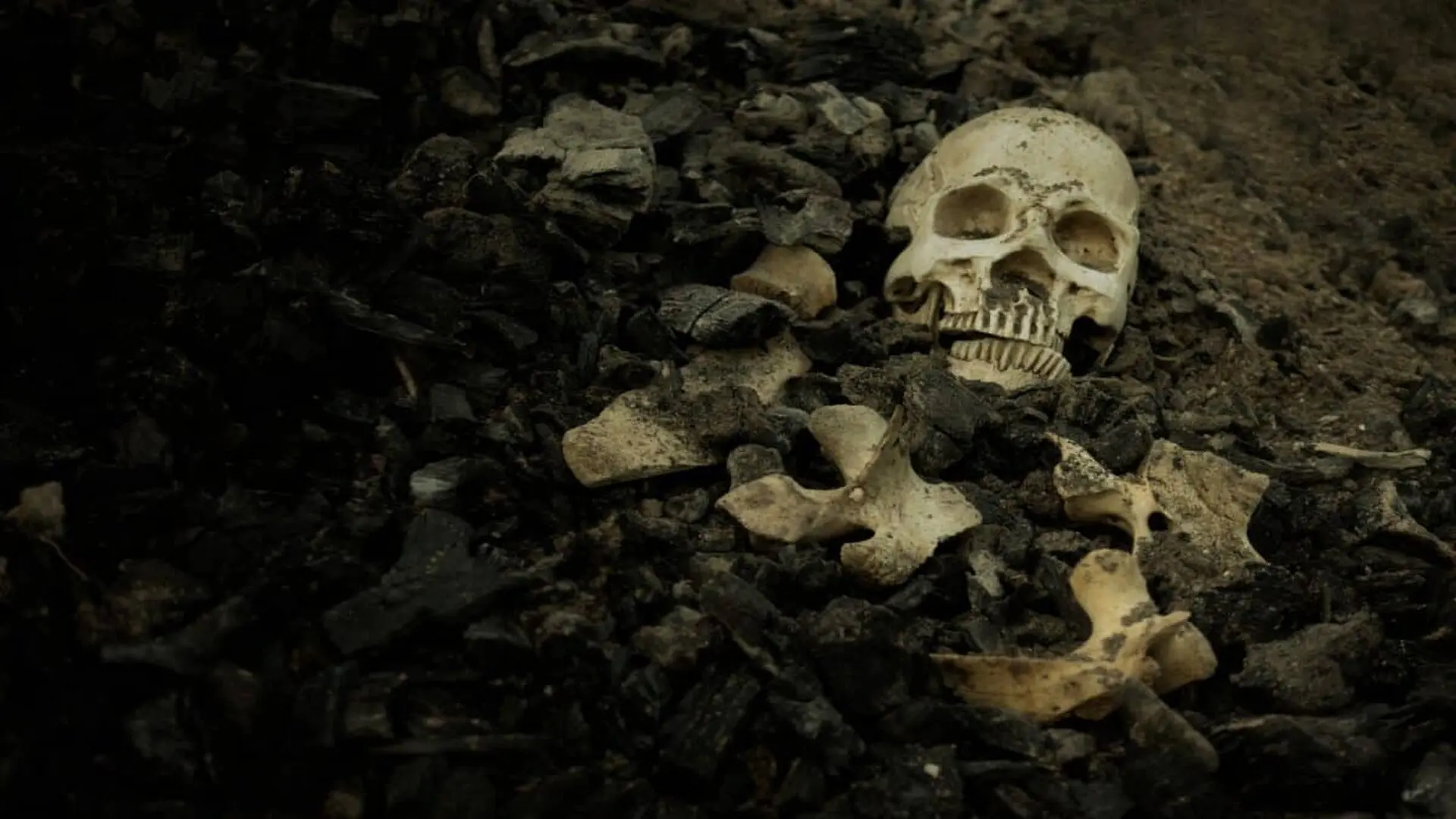 Skull And Bones Extracted From A Pit Scaled