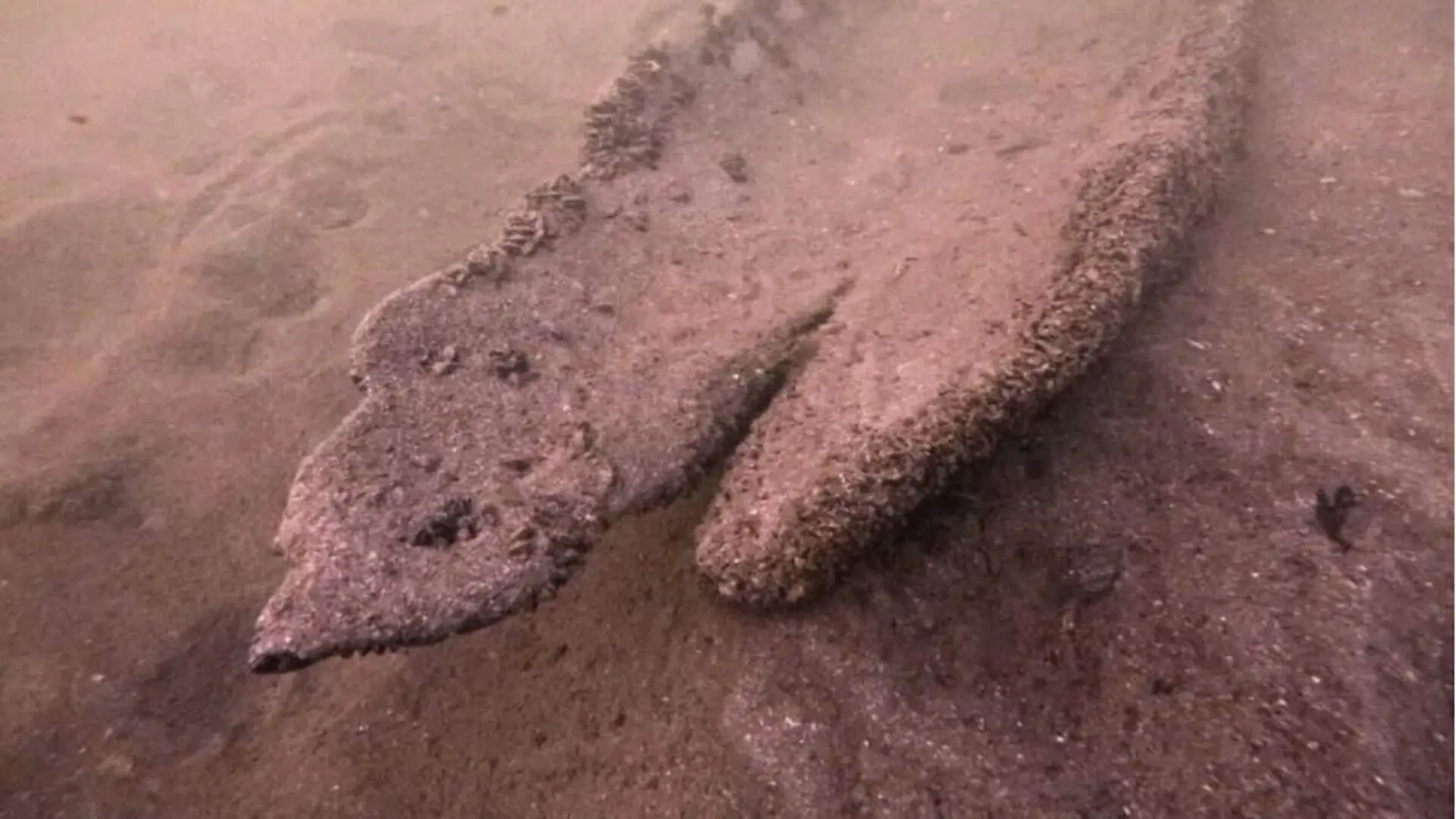 Researchers Believe It Was Sunk On Purpose Long Ago Scaled