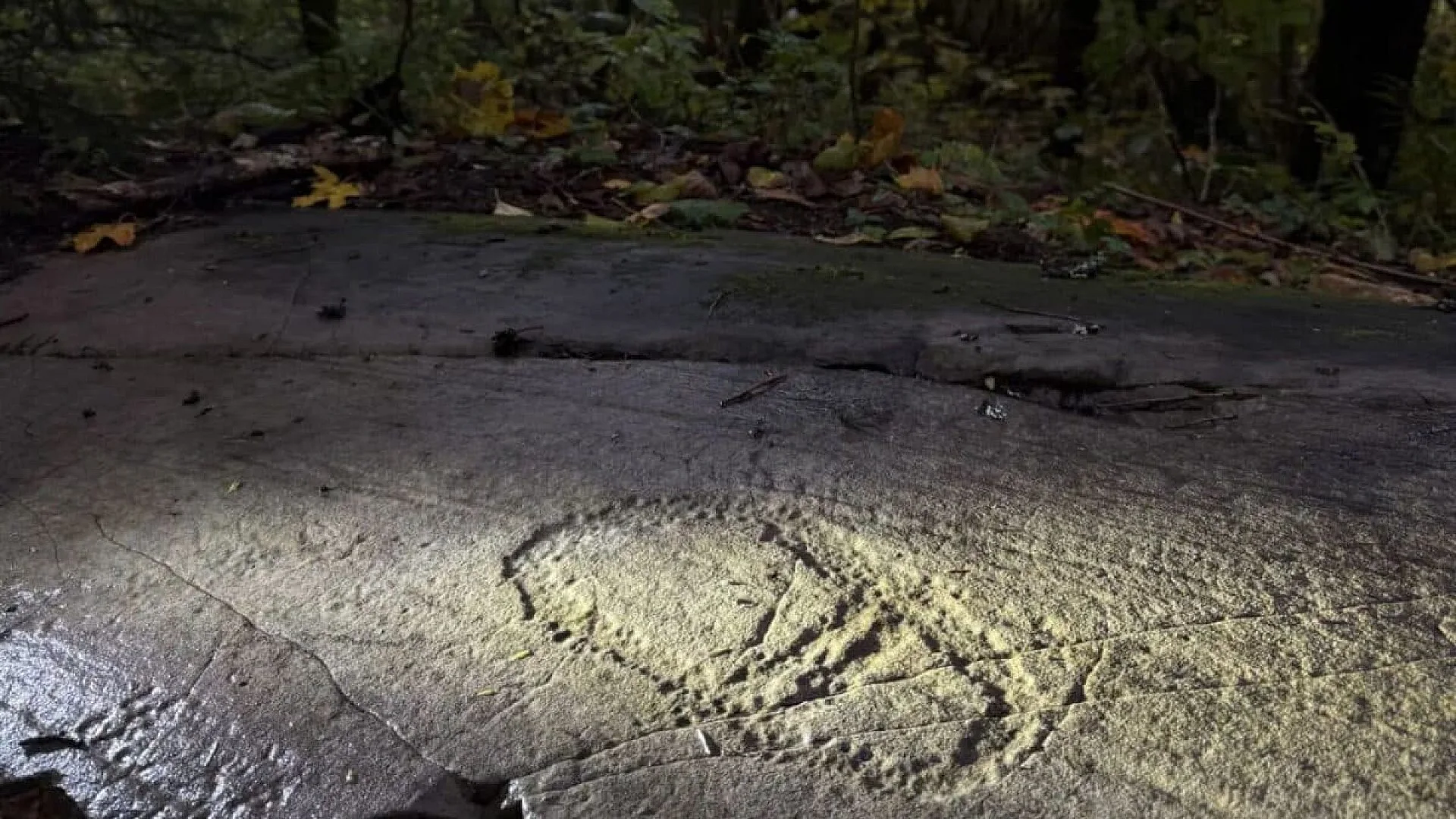 A Father And His Daughter Stopped Along A Road In Norway And Stumbled Upon Year Old Ancient Carvings Unlike Any Seen Before Scaled