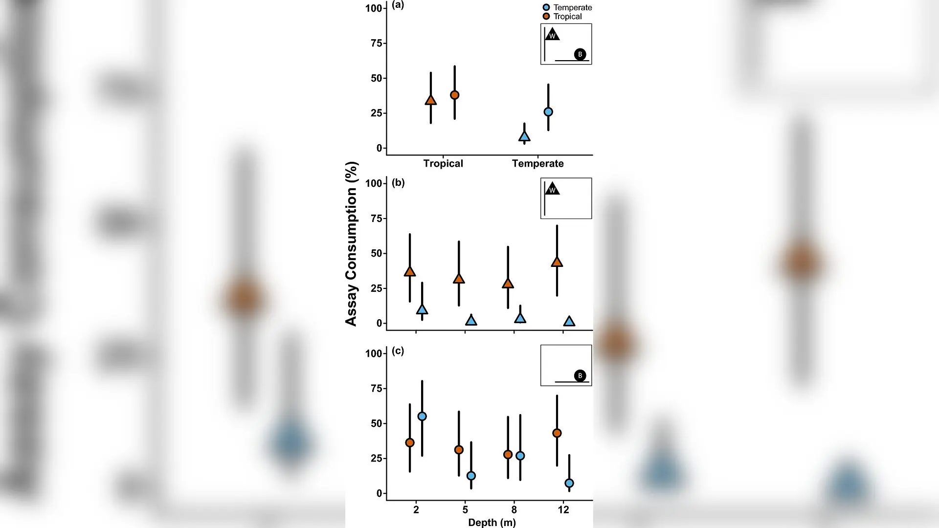 Fish and Urchin Grazing Reveal Hidden Shifts Across Reefs