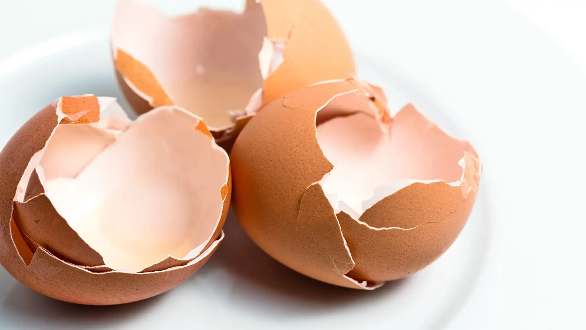 A plate with eggshells on it.