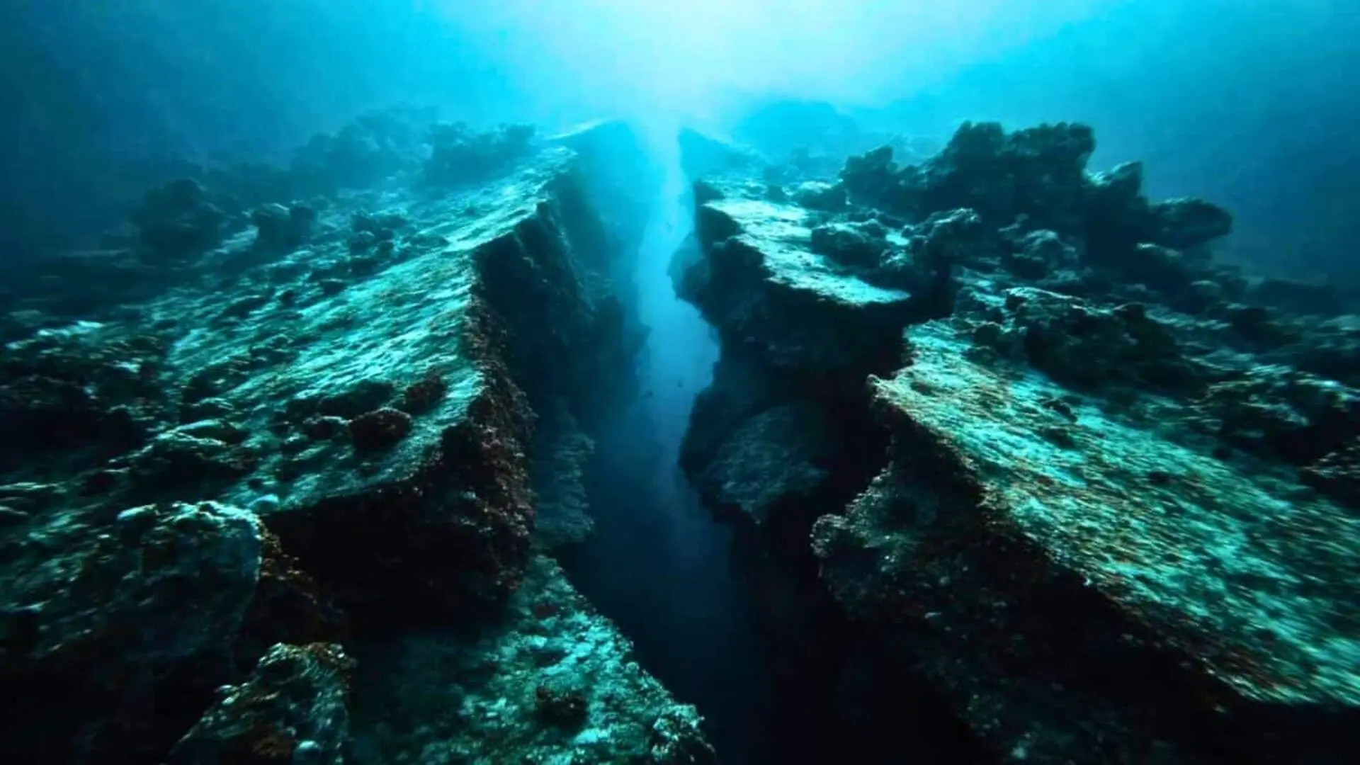 Scientists Found A Giant Tear Beneath Vancouver Island Scaled