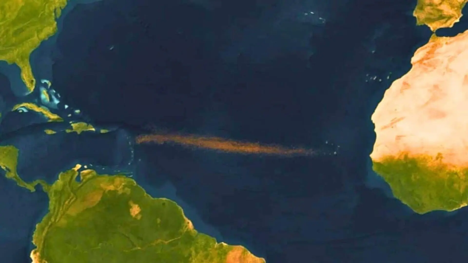 A Record Breaking Seaweed Belt Is Spreading Across The Atlantic Scaled