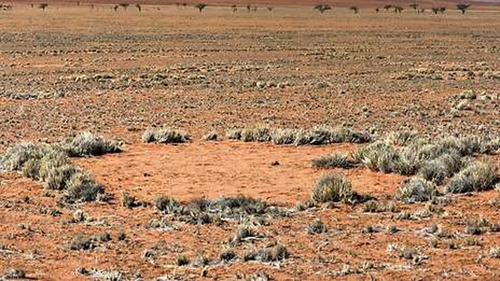 Scientists Found Strange Australian Fairy Circles Releasing Hydrogen From Deep Underground For The First Time Scaled 1