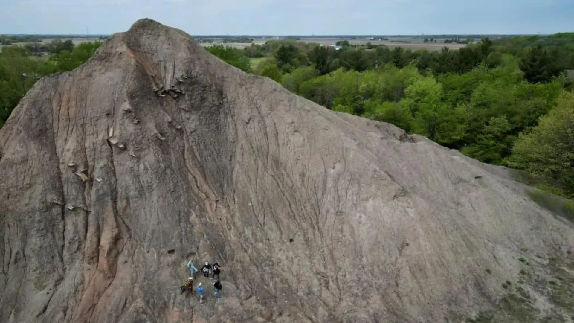Scientists Discover Tiny Fossils Near Chicago That Dont Match What They Expected From The First Land Animals Scaled