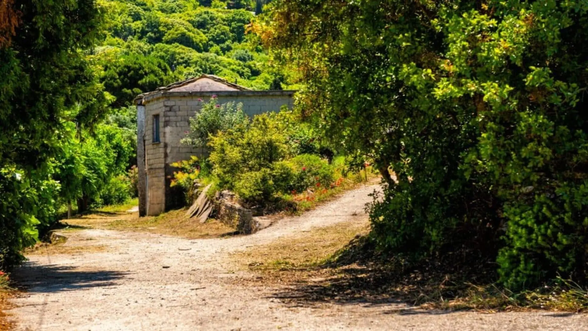 Spanish Farmer Rejects An 18 Fold Offer For His Mountain Land Scaled