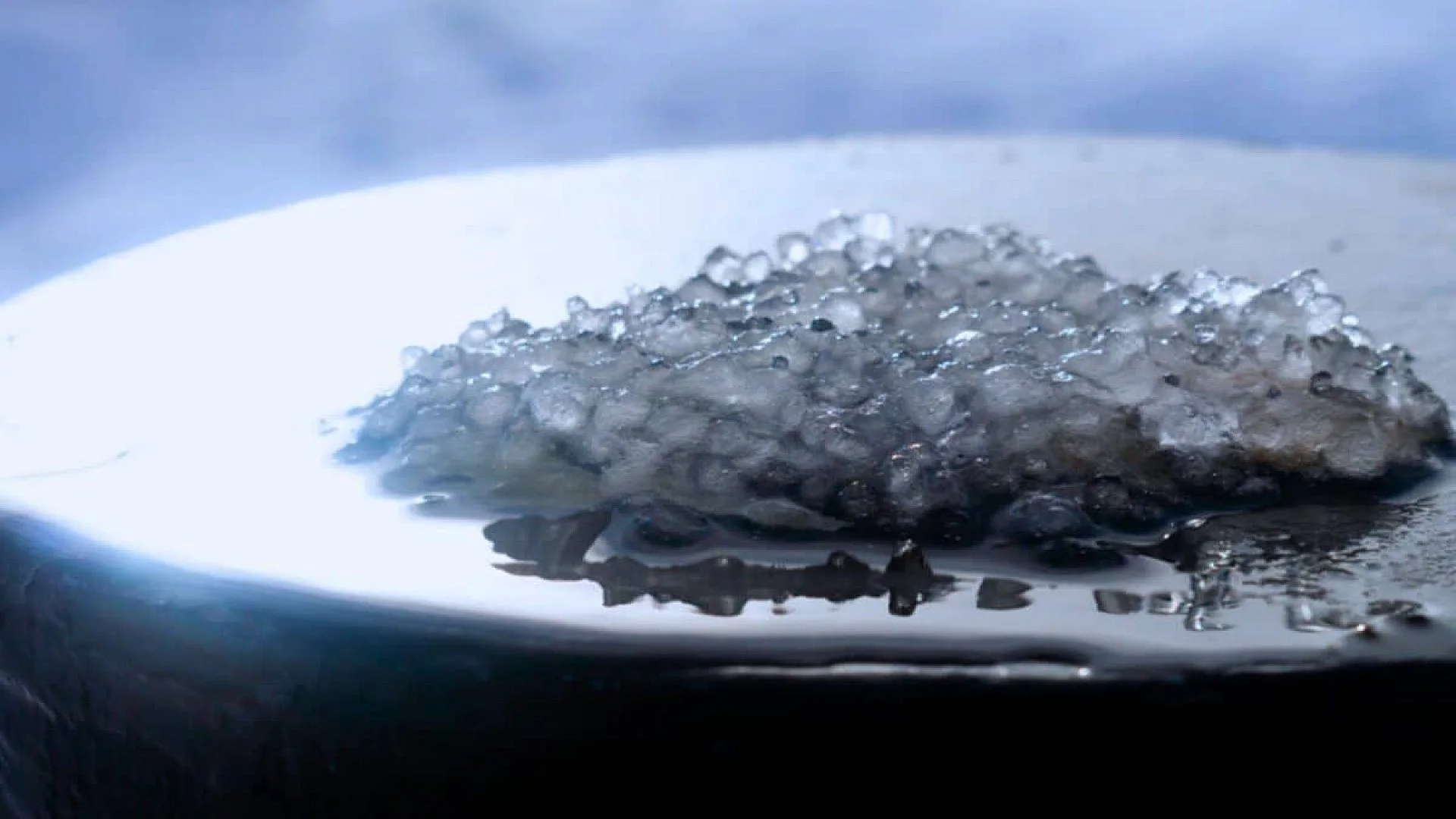 A Strange Liquid Kept Returning To One Shape After Every Shake Scaled