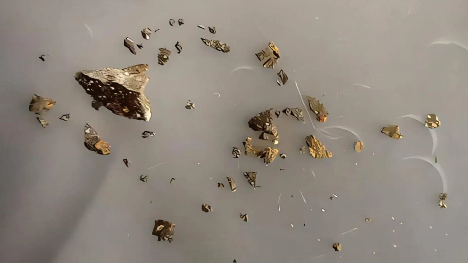 Scientists Cracked Open A Meteorite That Fell In Australia In And Found Tens Of Thousands Of Organic Molecules Inside Scaled