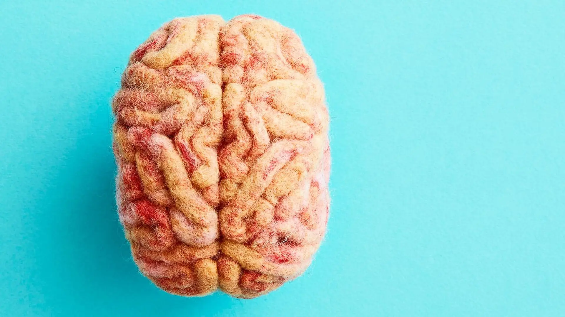 A model of a human brain made out of orange and red wool.