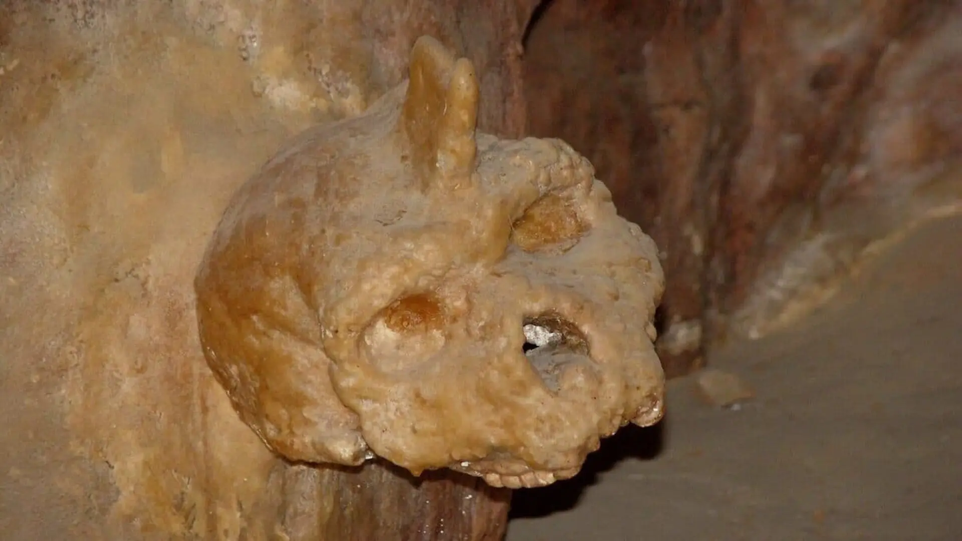 This Strange Skull Sat Encased In Rock For 65 Years Until Scientists Finally Managed To Crack Its Age Scaled