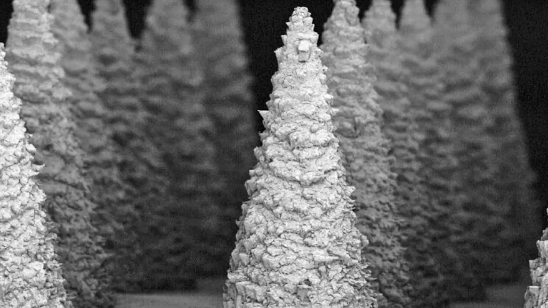 A microscopic view of the patch