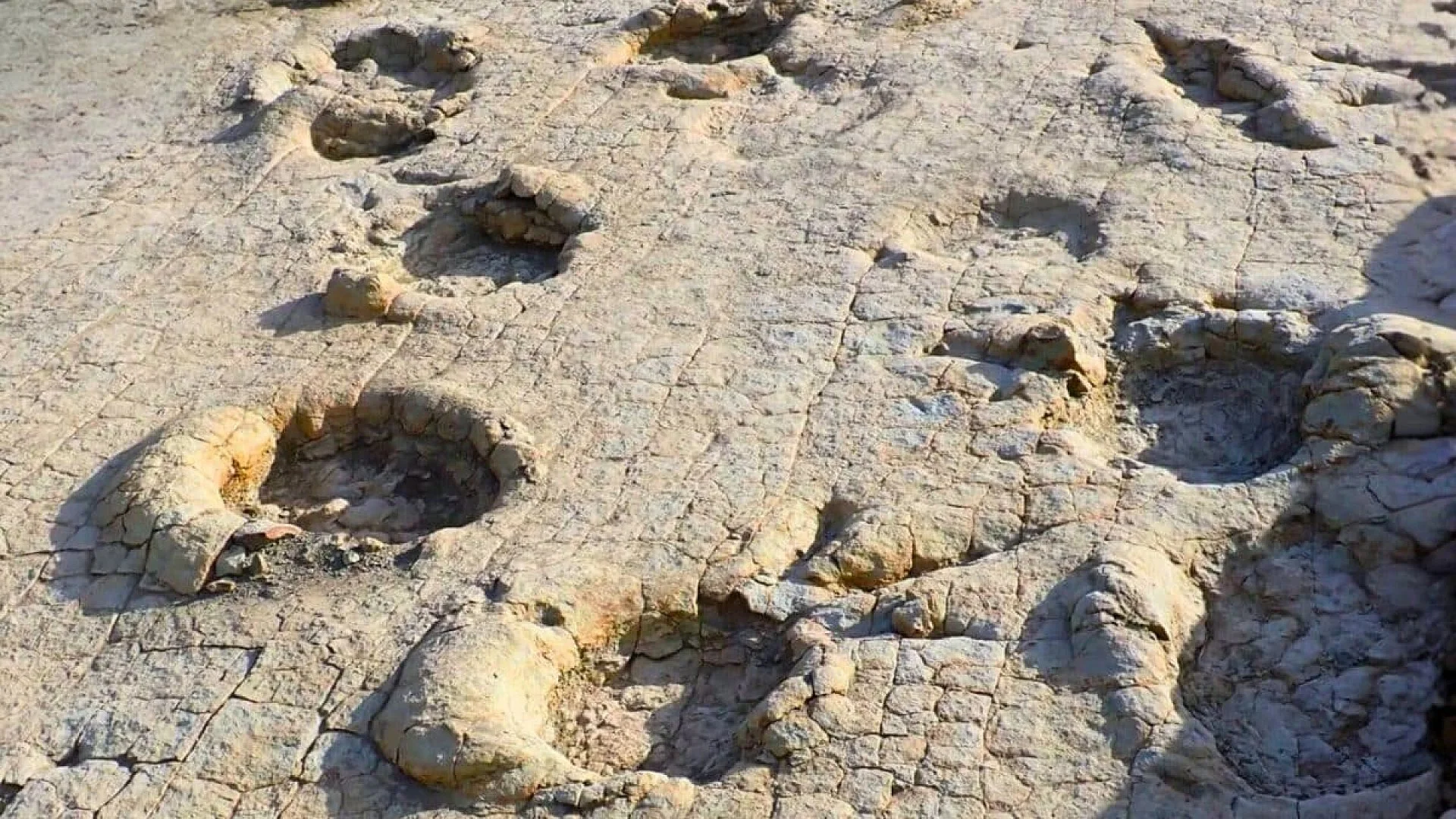 Predators And Giants On The Same Ancient Ground Scaled
