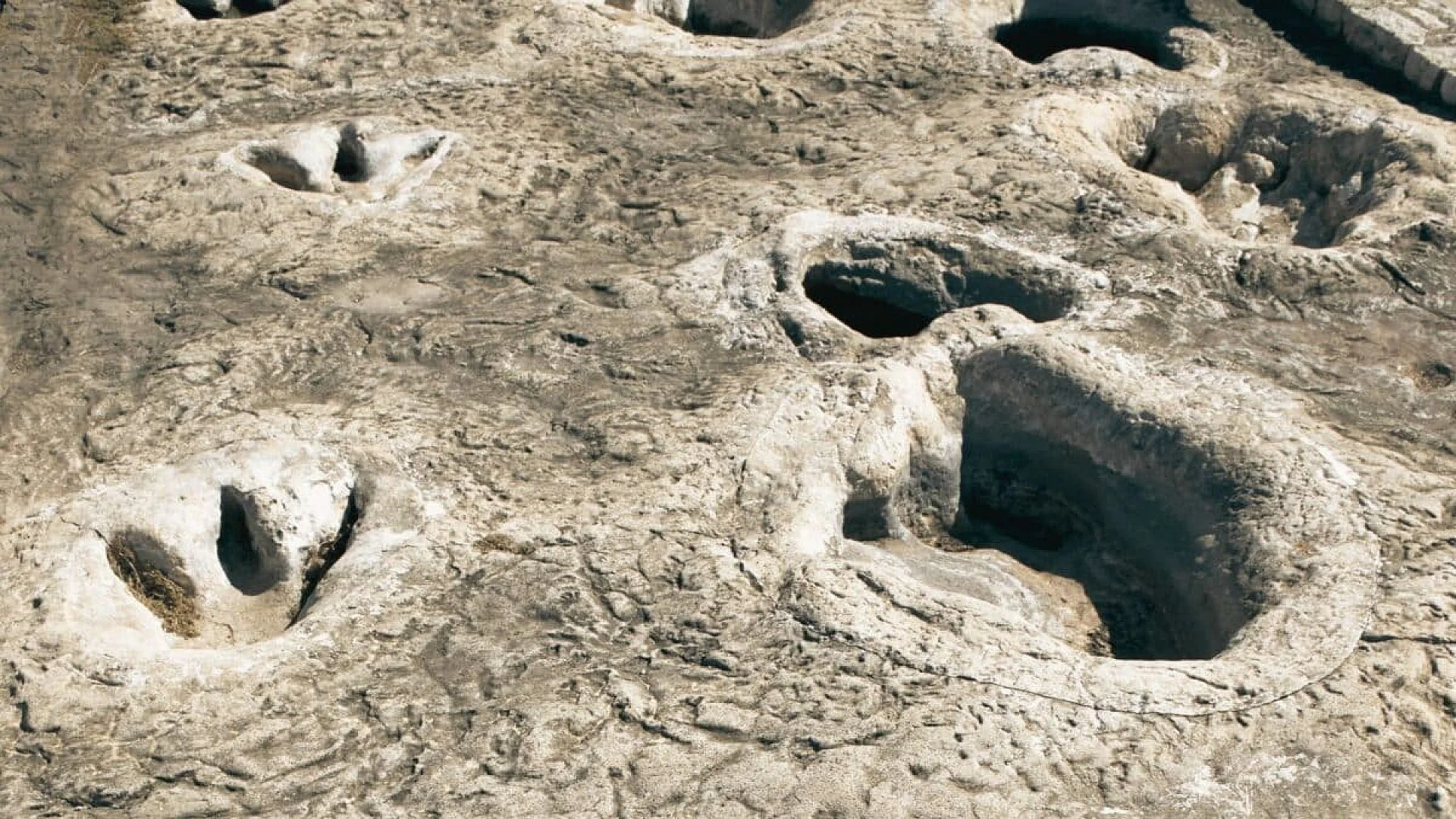 Scientists Discover Rare Fossil Footprints In South Korea Preserved In 106 Million Year Old Rock Scaled