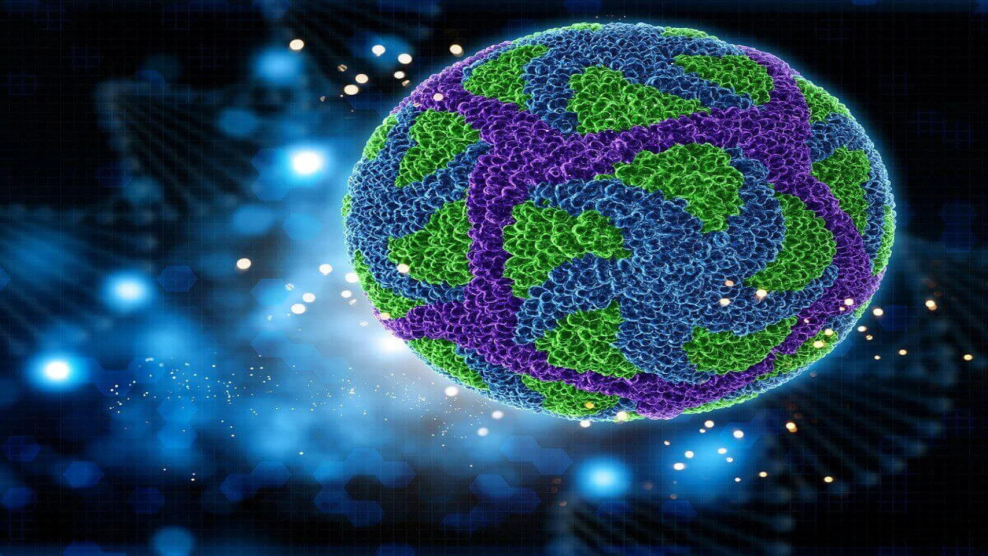 3D Zika Virus