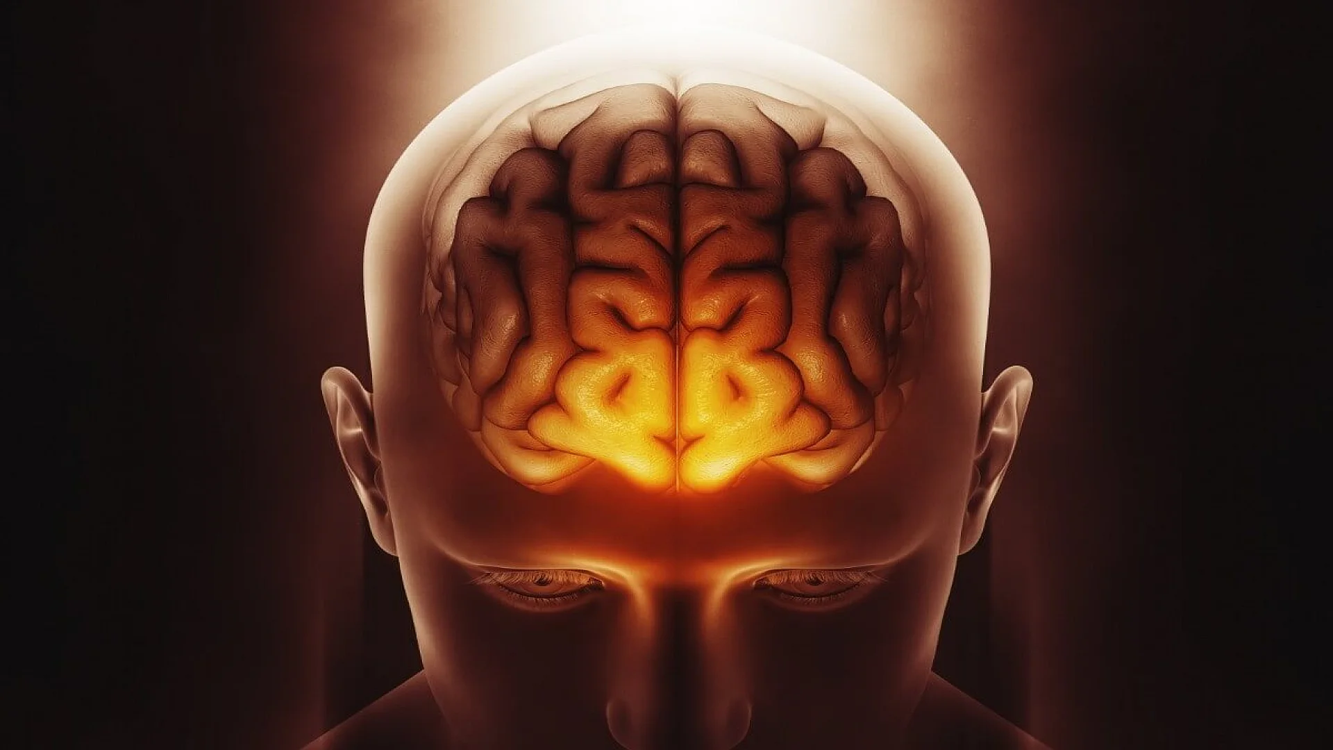 Image of a male figure with brain highlighted
