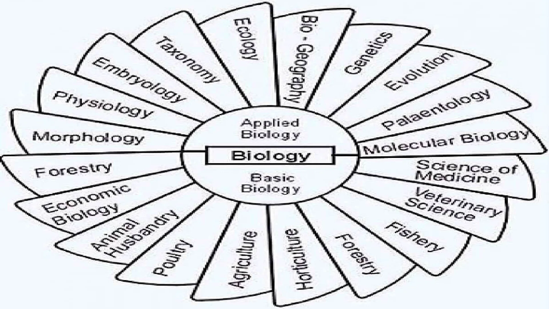 Branches of Biology
