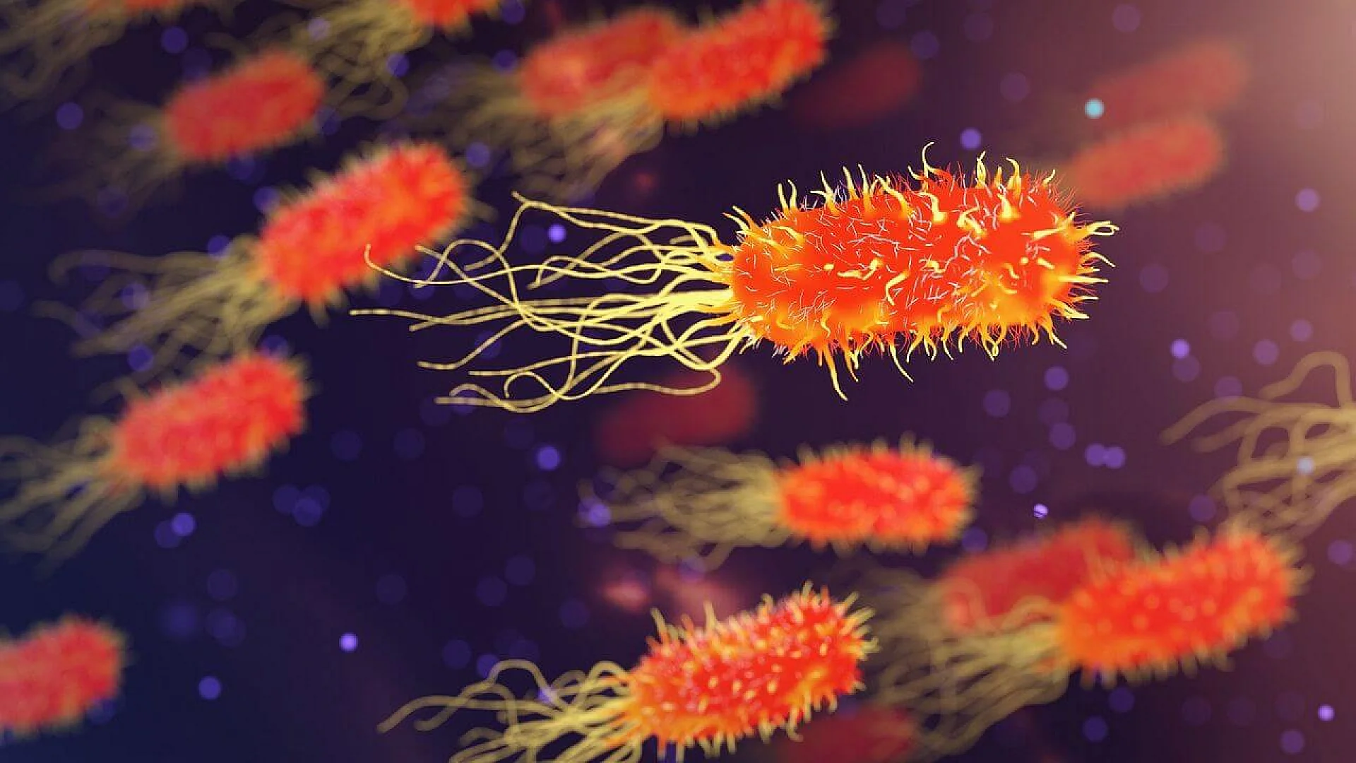 A 3D rendering of rod-shaped bacteria with long flagella tails floating in a dark purple and orange fluid environment.