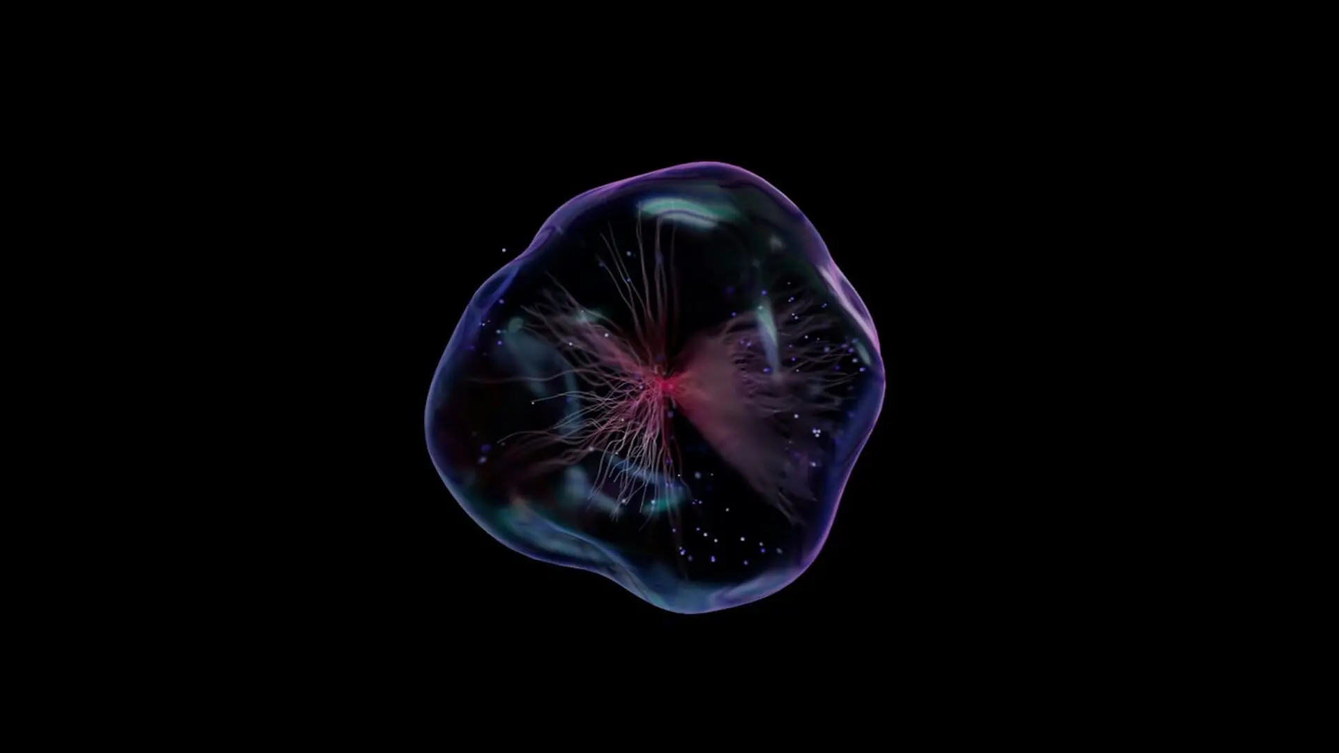 Concept Of A Virtual Cell