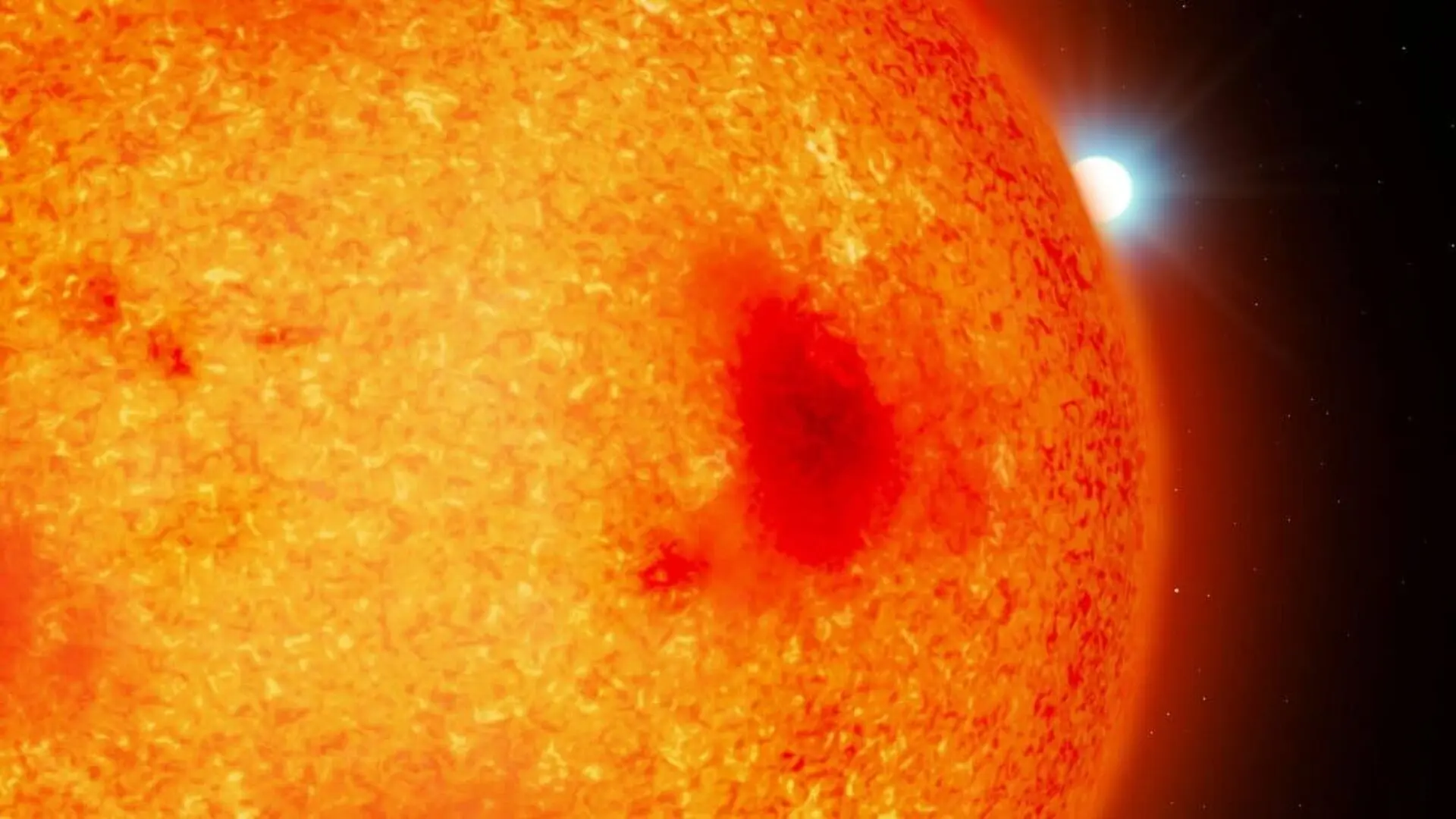 Astronomers Just Uncovered Four Hidden White Dwarfs Surprisingly Close To Earth Scaled