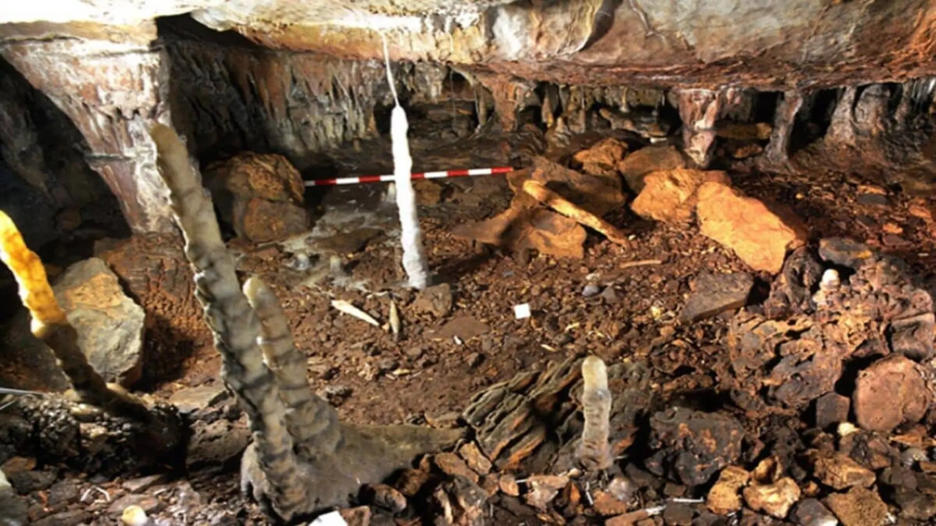 A Cave Frozen In Time Revealed An Unusual Relationship Between Humans And Ice Age Lions Scaled