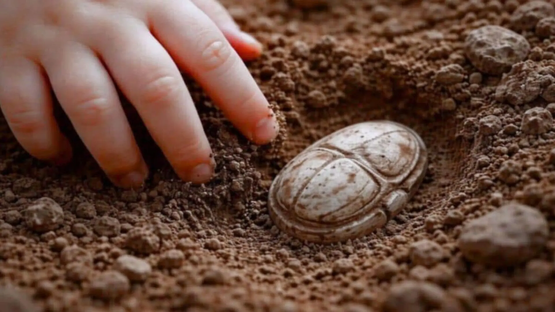 3 Year Old Spots An Unusual Stone In Israel Scaled
