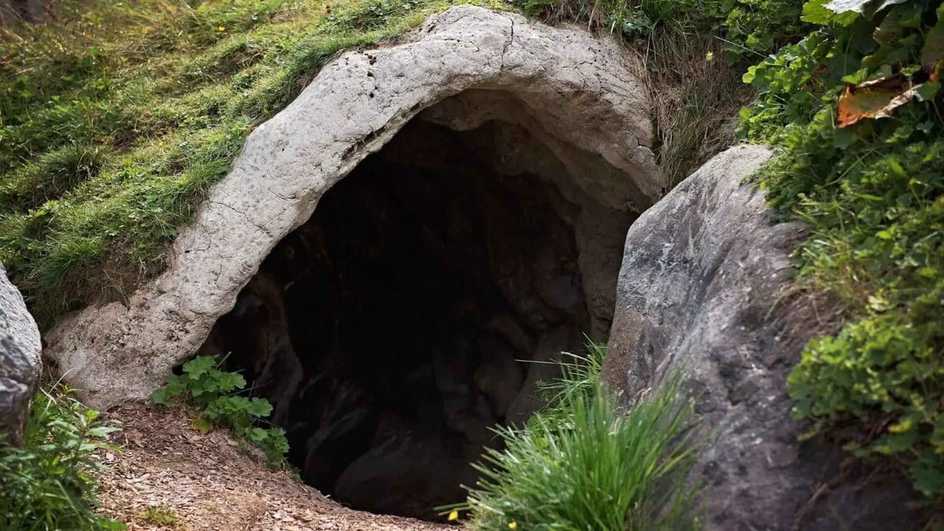 Neanderthals Were Master Woodworkers And 597 Mysterious Imprints In A Spanish Cave Just Proved It Scaled